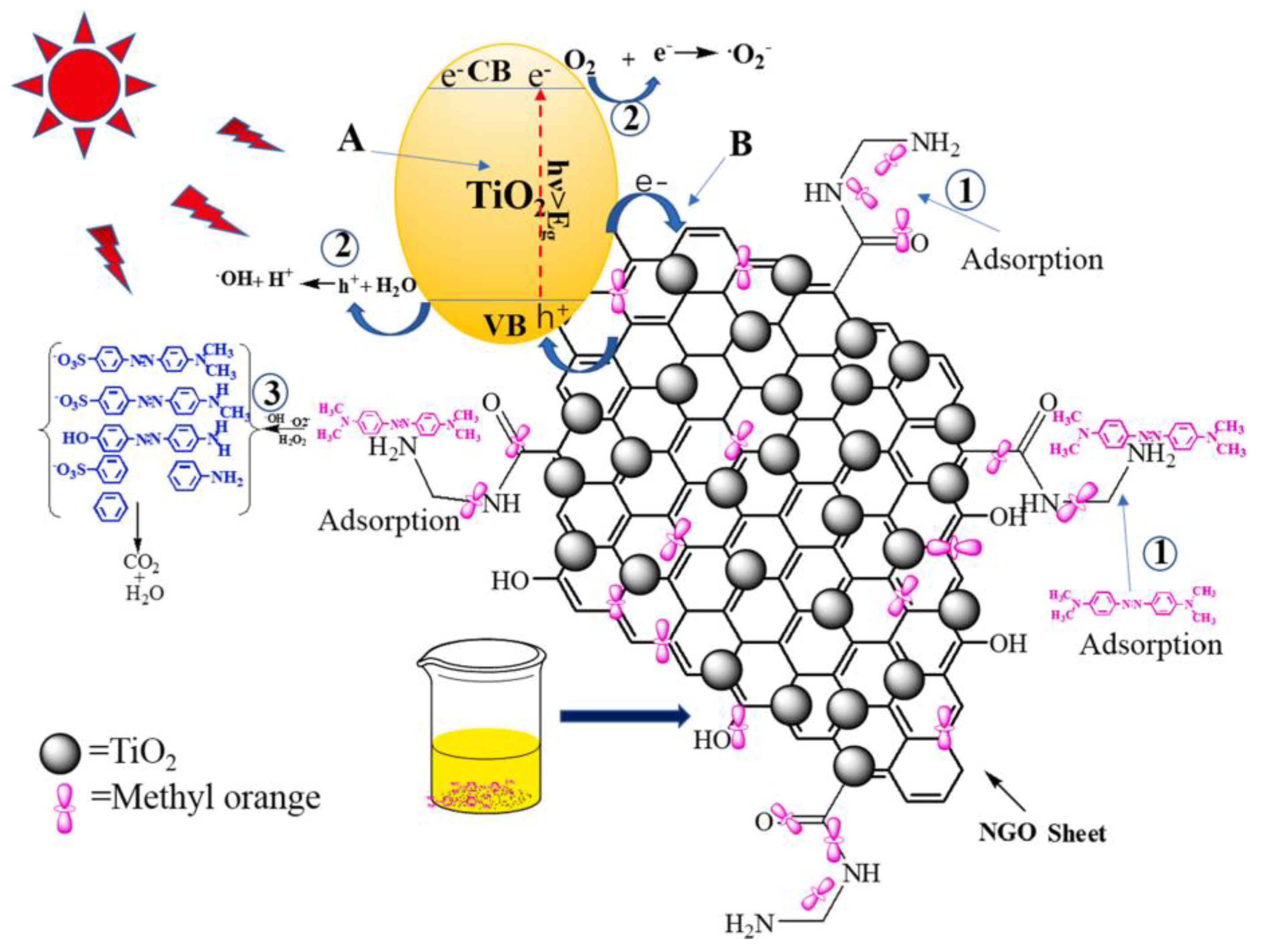 Membranes 13 00127 g004