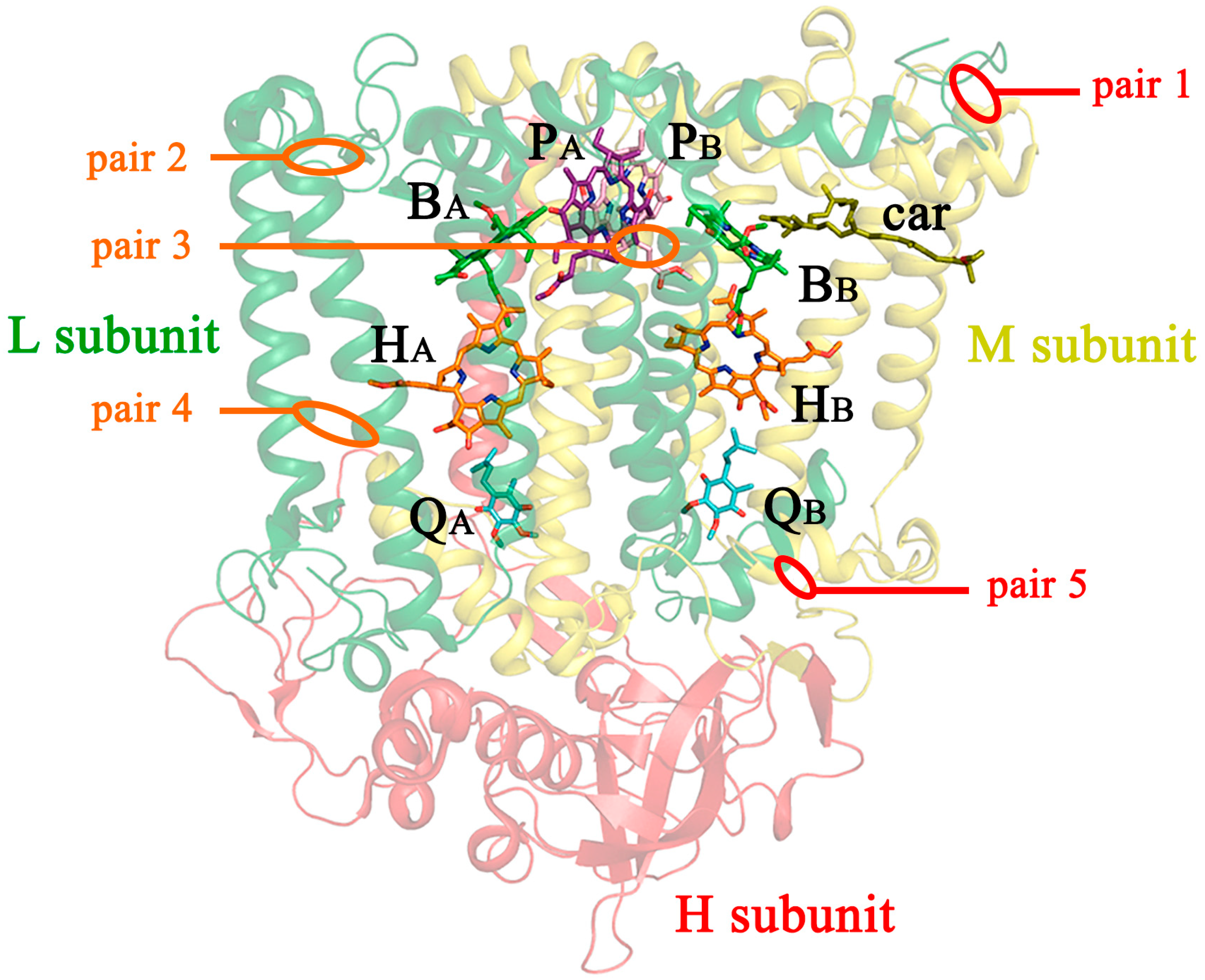 Membranes 13 00154 g001
