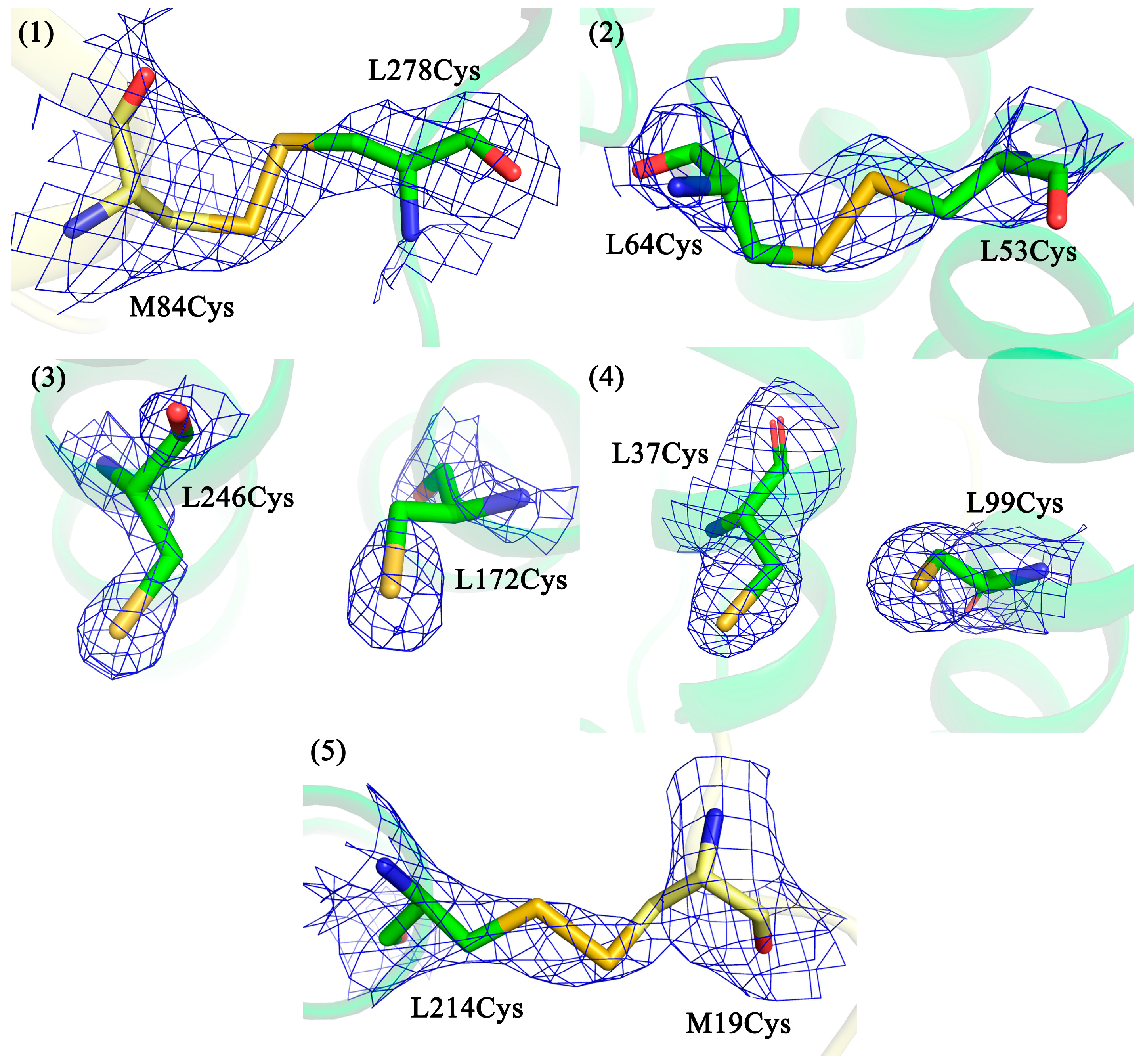 Membranes 13 00154 g002