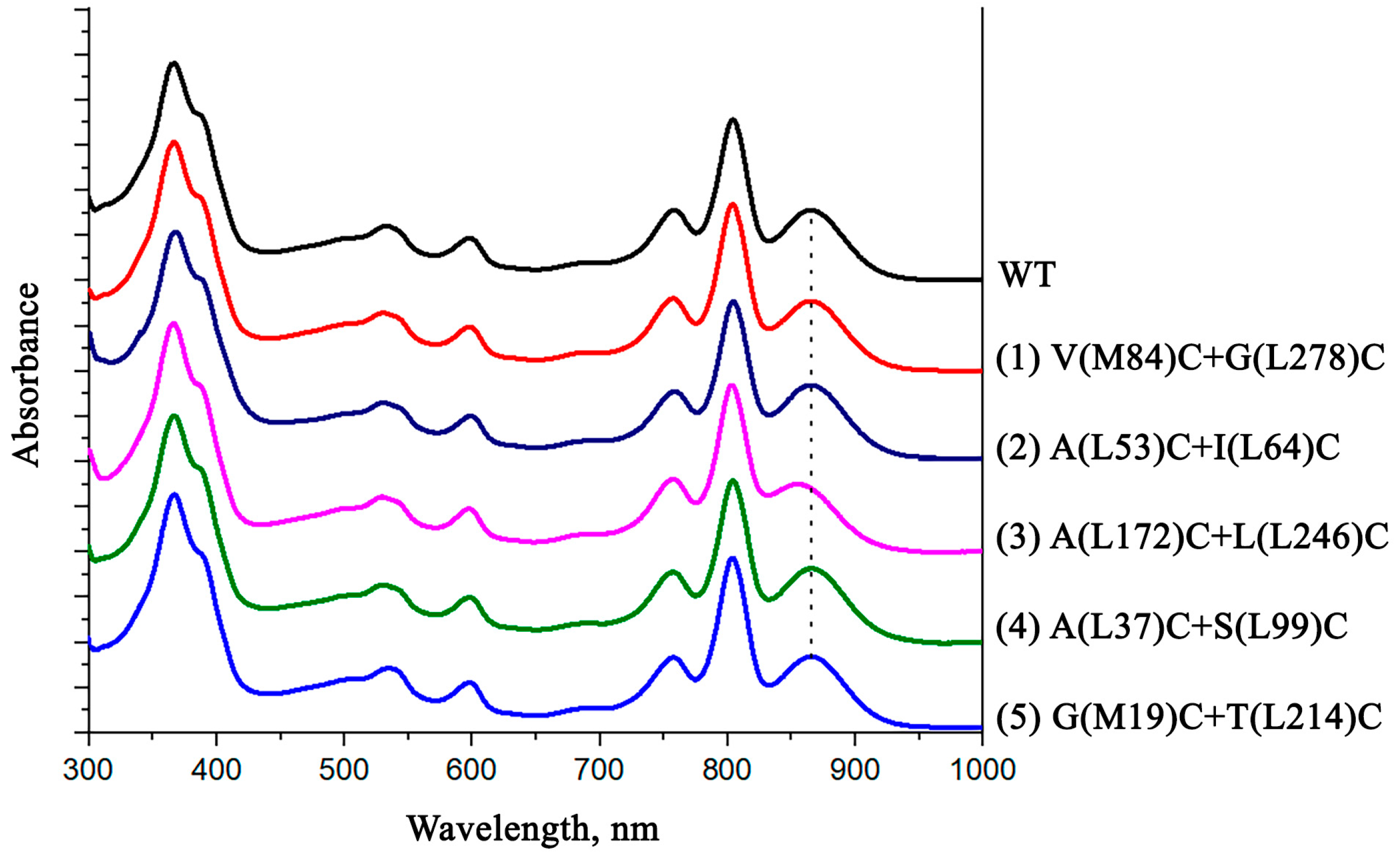 Membranes 13 00154 g004