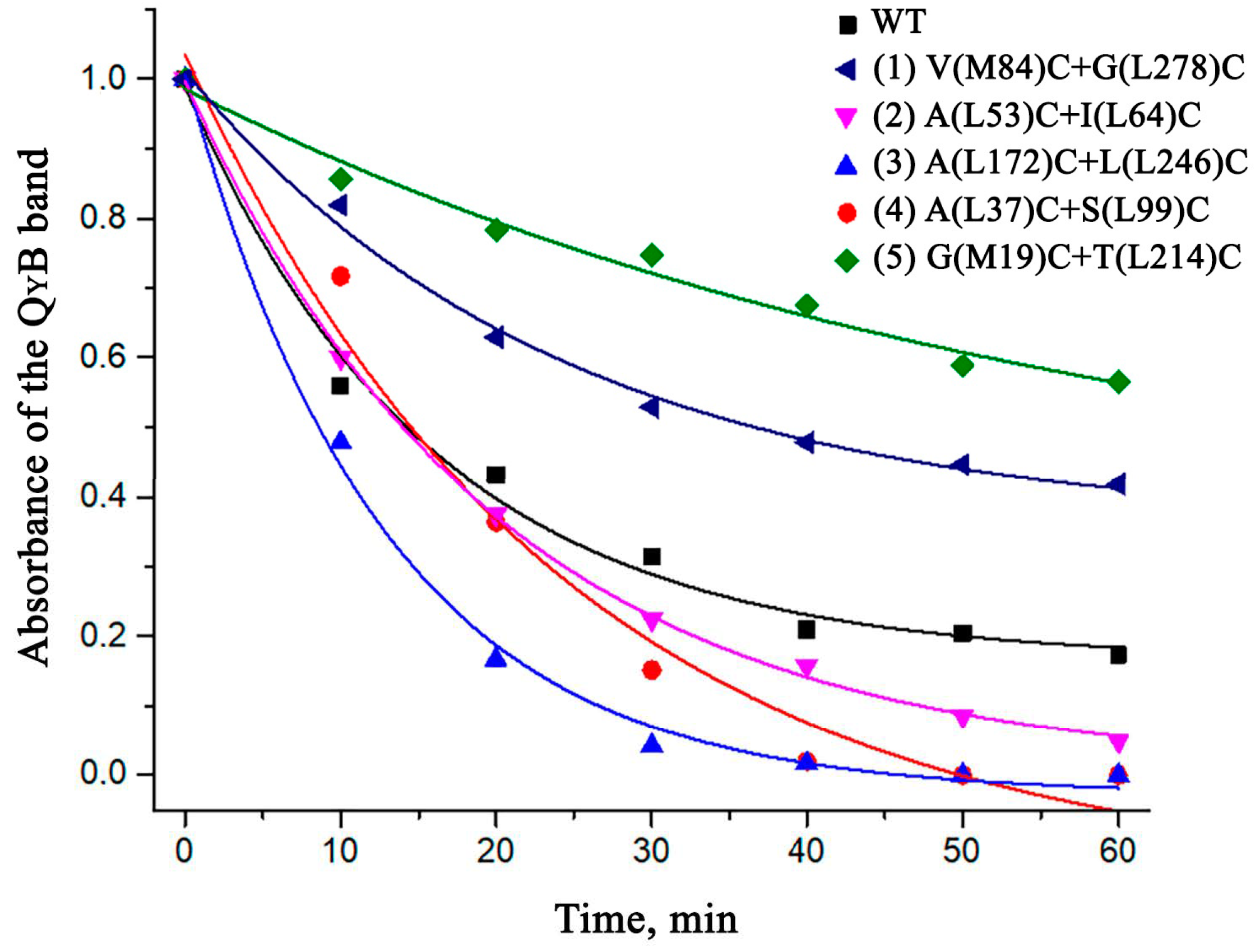Membranes 13 00154 g006