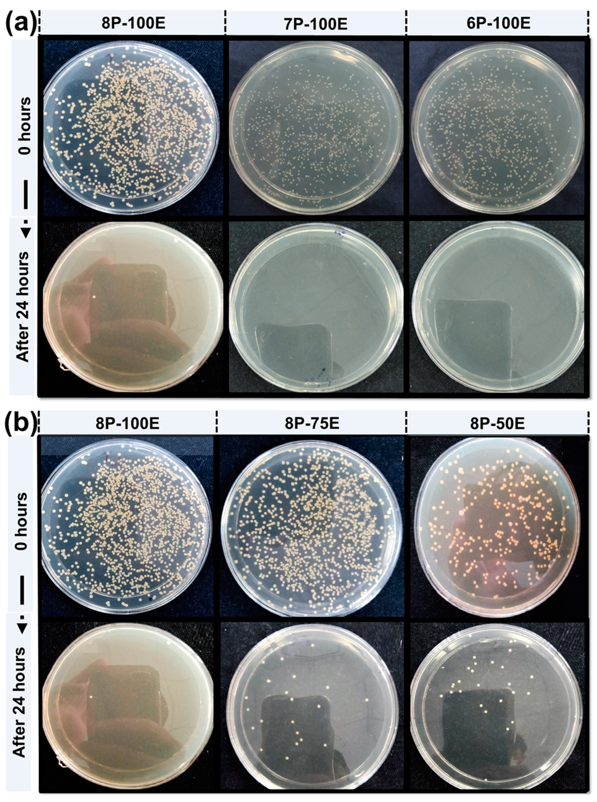 Membranes 13 00156 g009