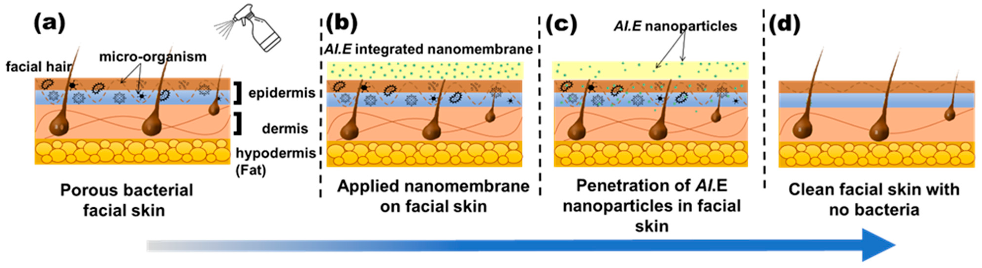 Membranes 13 00156 g010