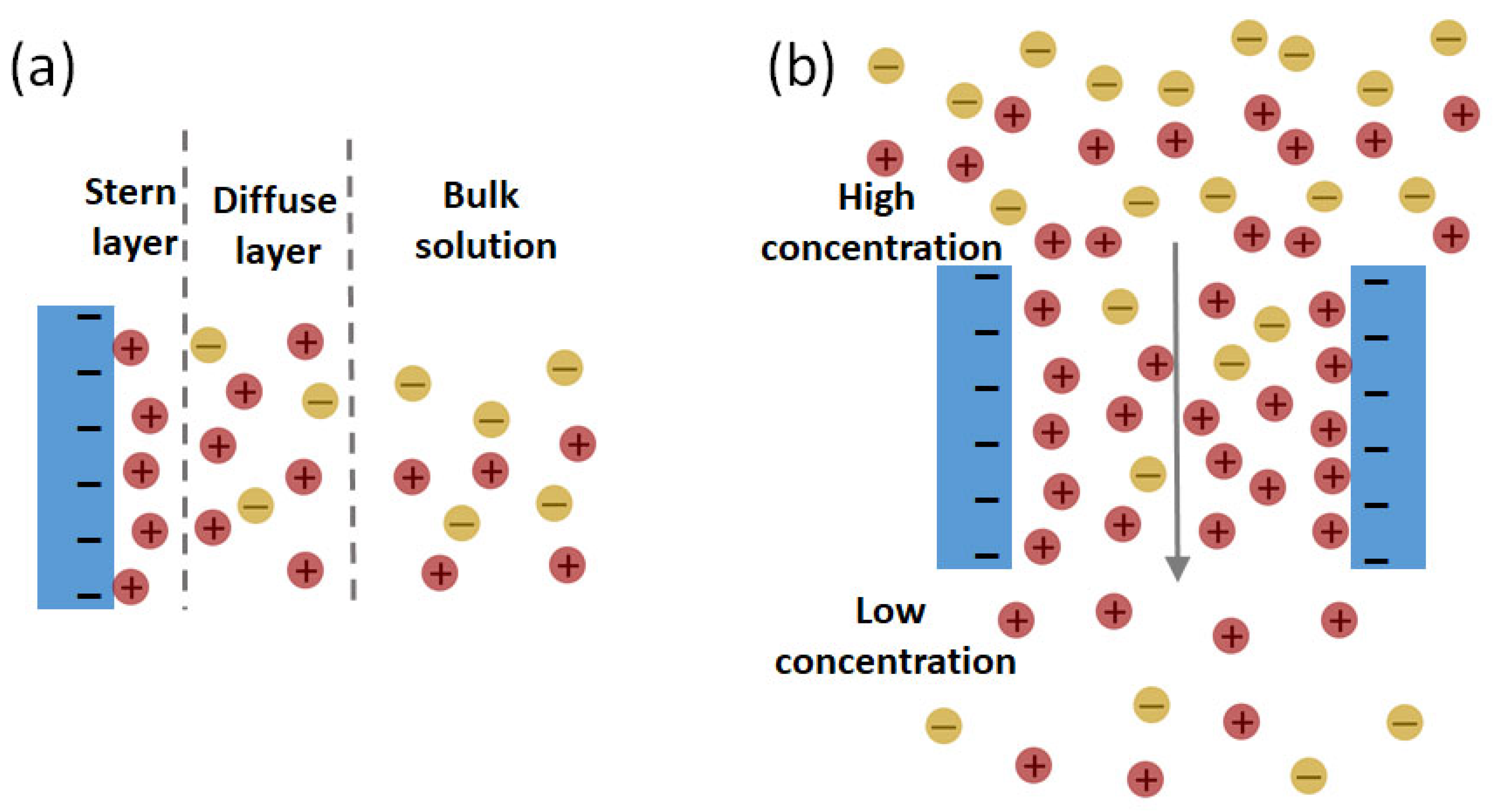Membranes 13 00164 g002