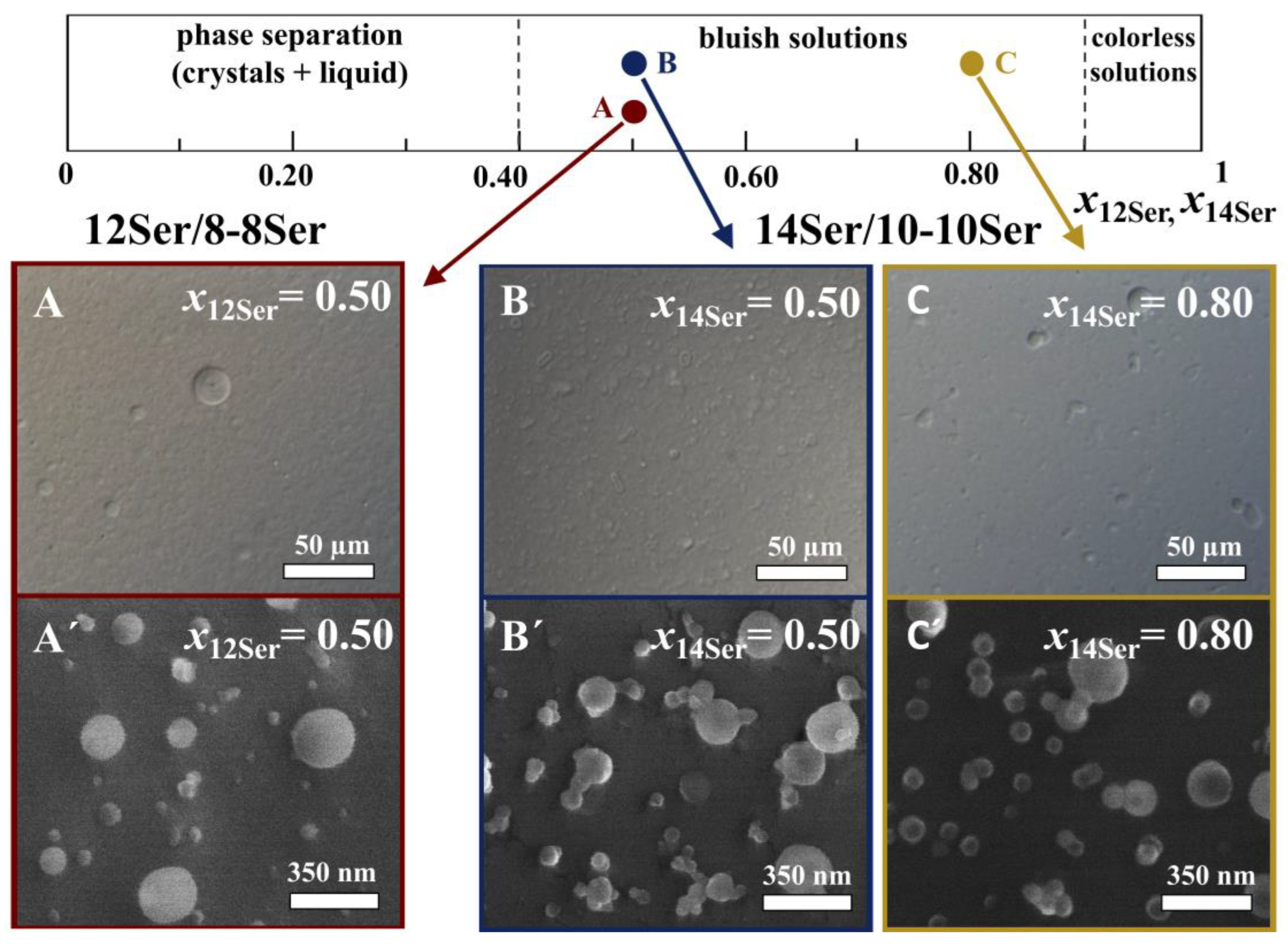 Membranes 13 00178 g002 Membranes 13 00178 g002