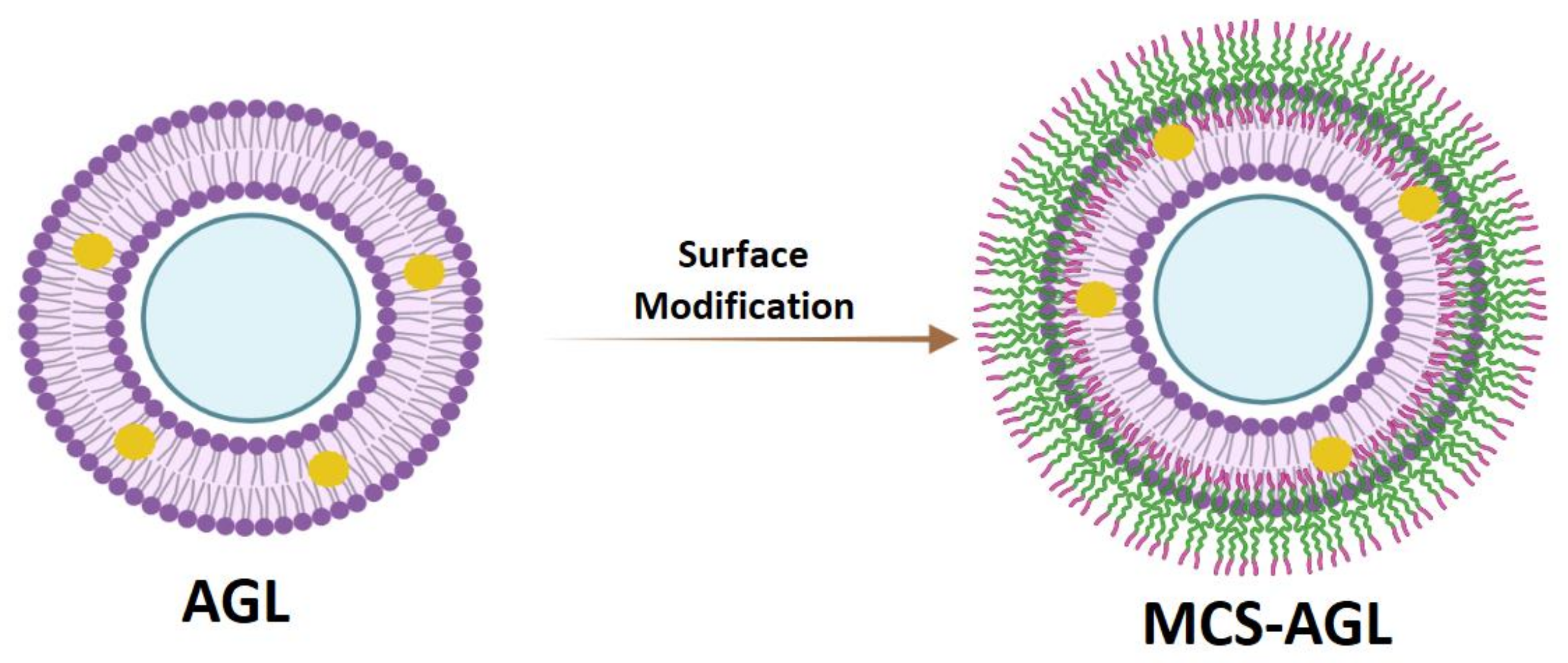 Membranes 13 00193 g001