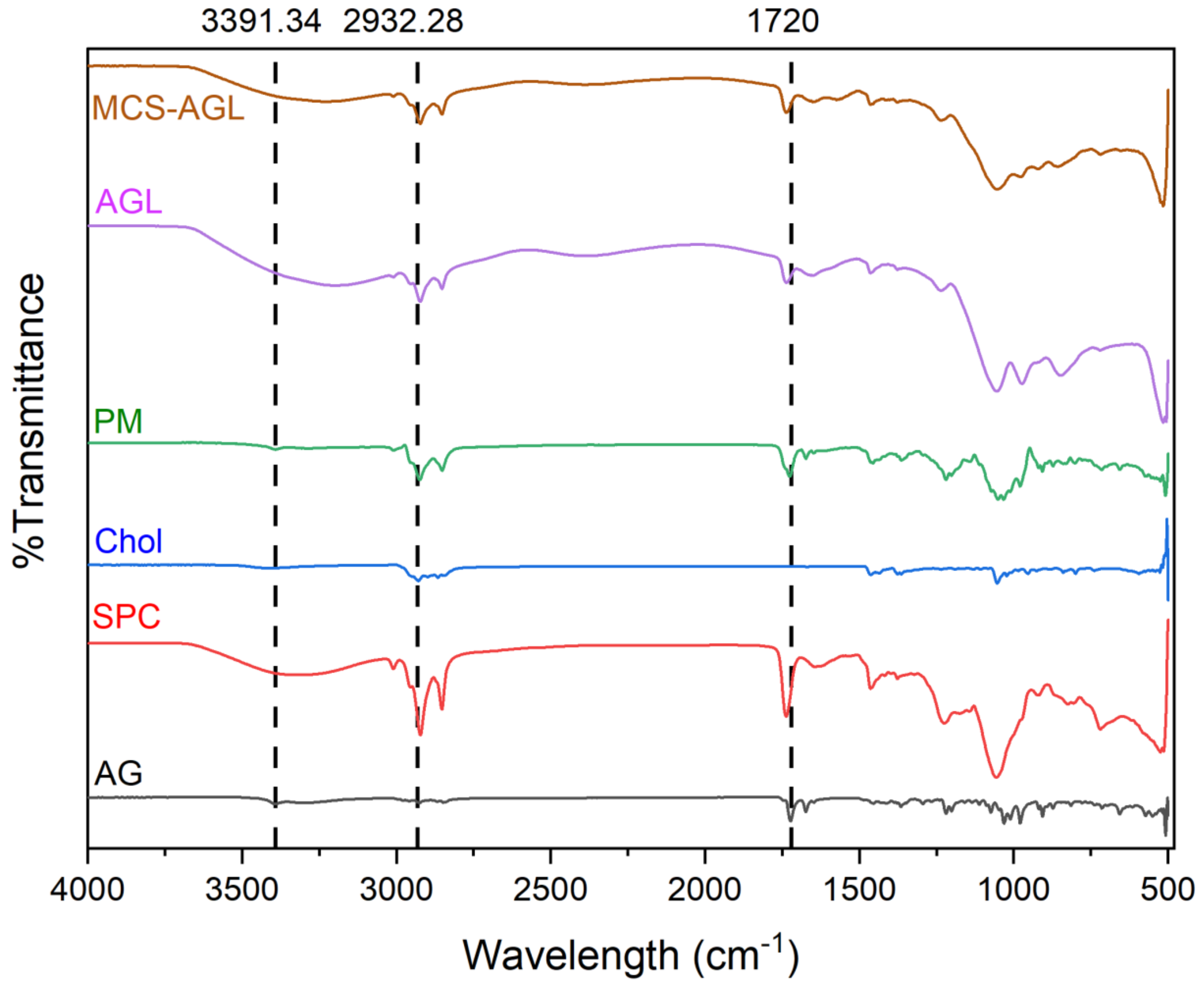 Membranes 13 00193 g003