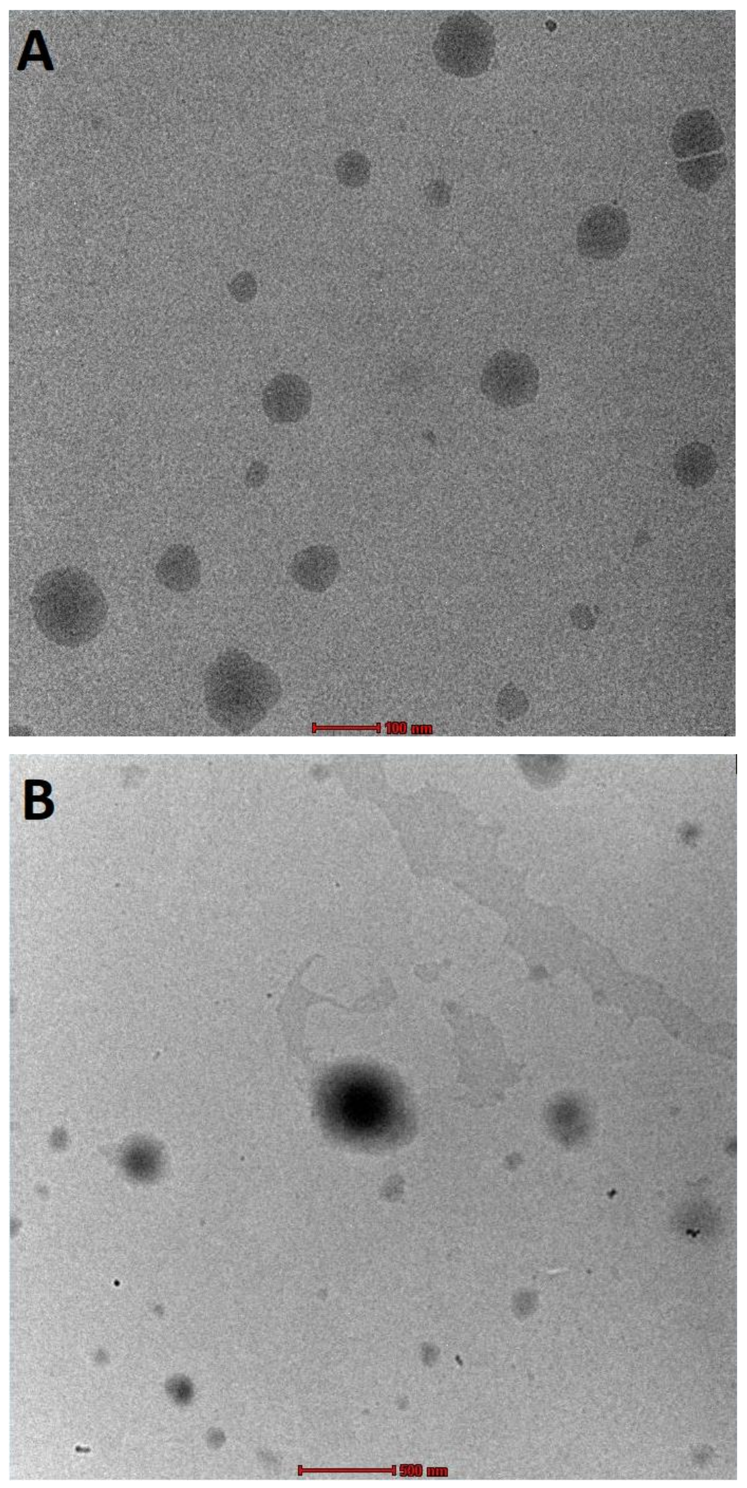 Membranes 13 00193 g006