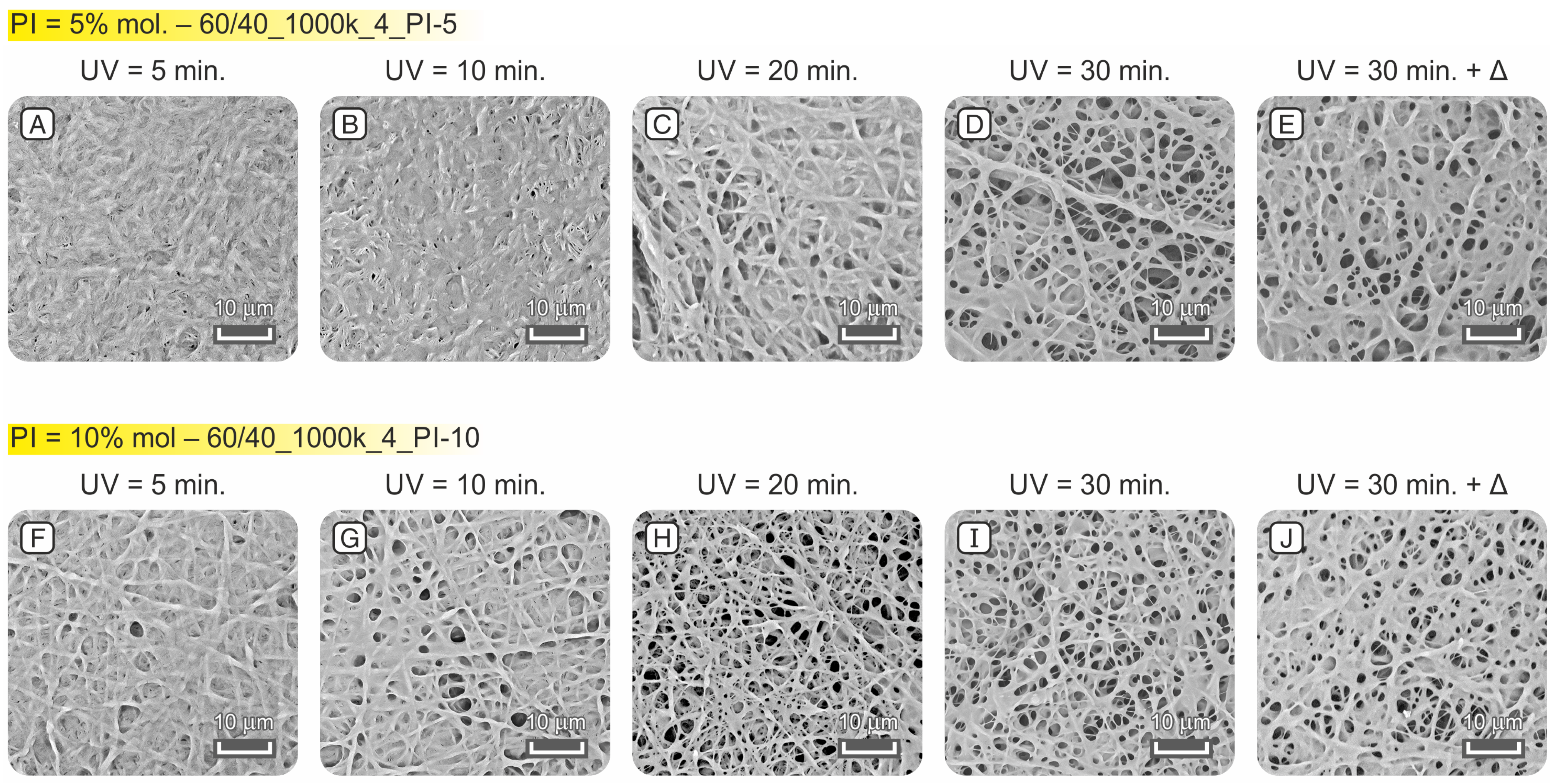 Membranes 13 00212 g007