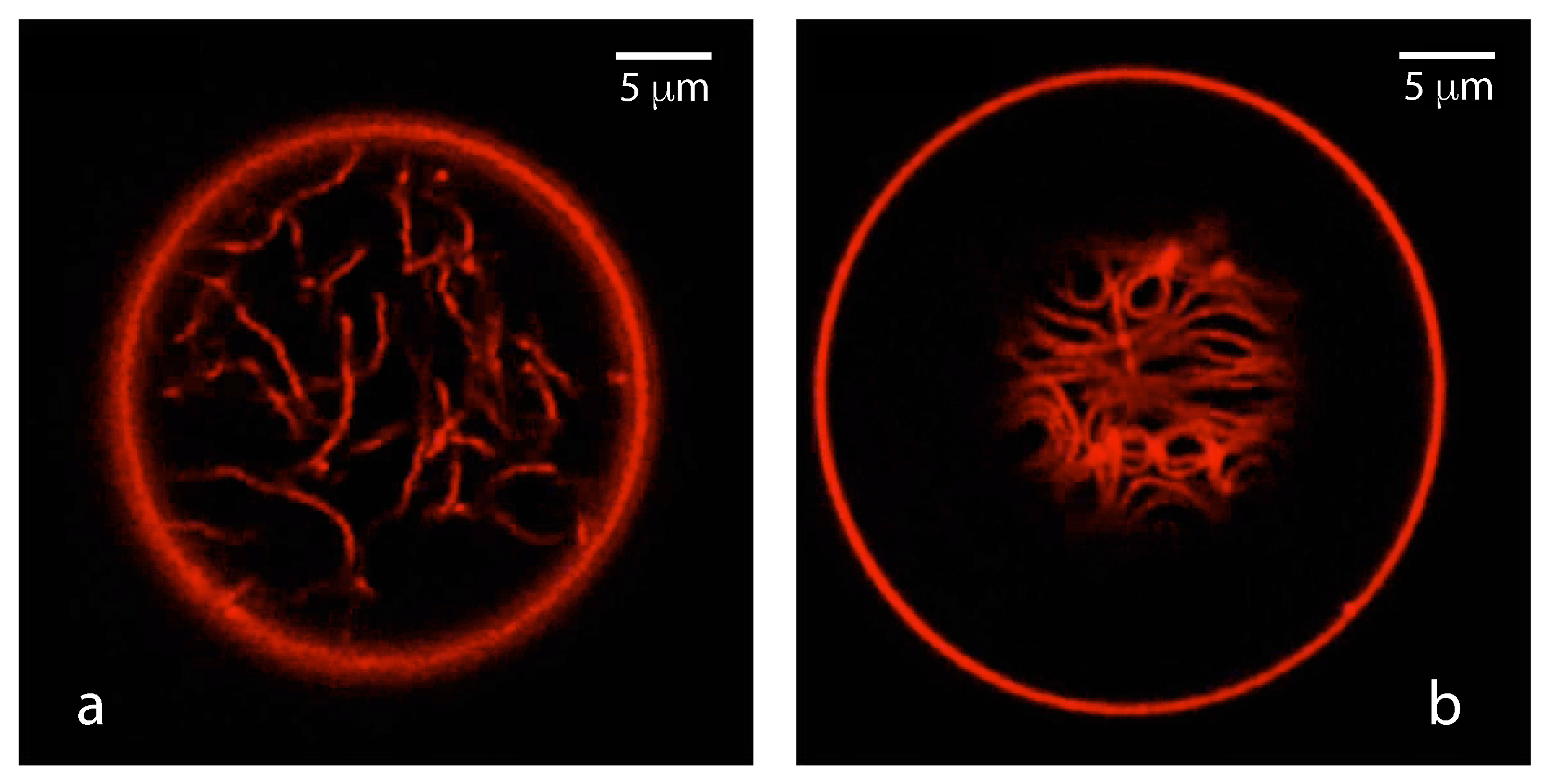 Membranes 13 00223 g019 Membranes 13 00223 g019