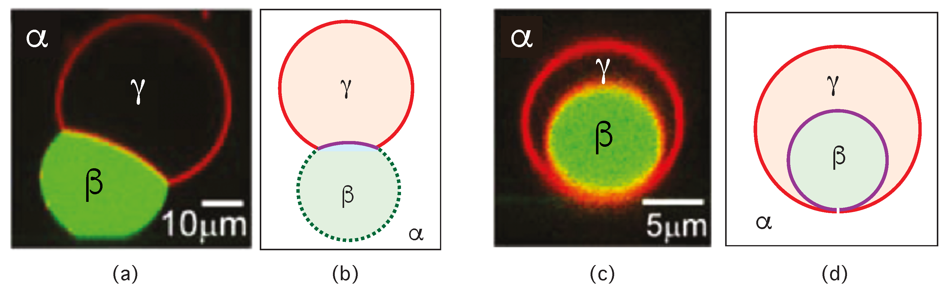 Membranes 13 00223 g022 Membranes 13 00223 g022