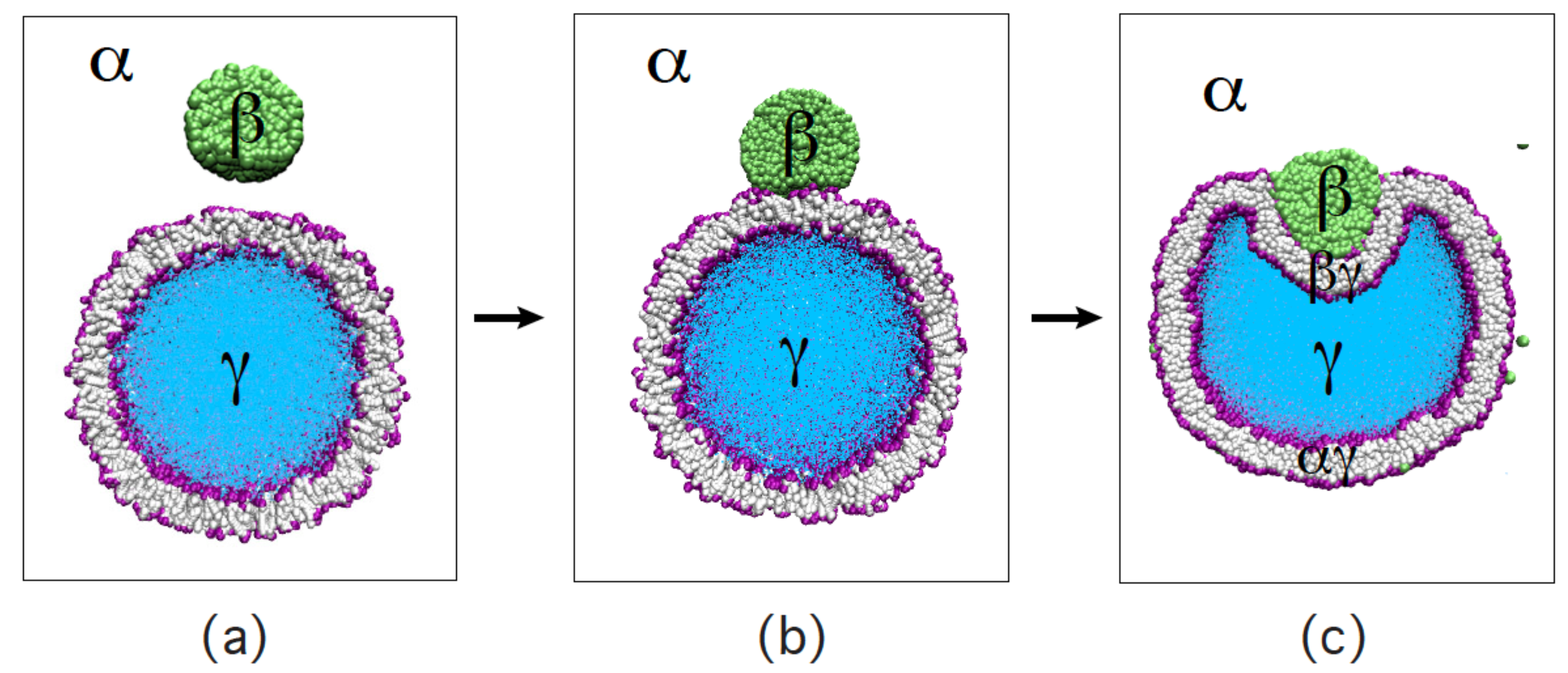 Membranes 13 00223 g023 Membranes 13 00223 g023