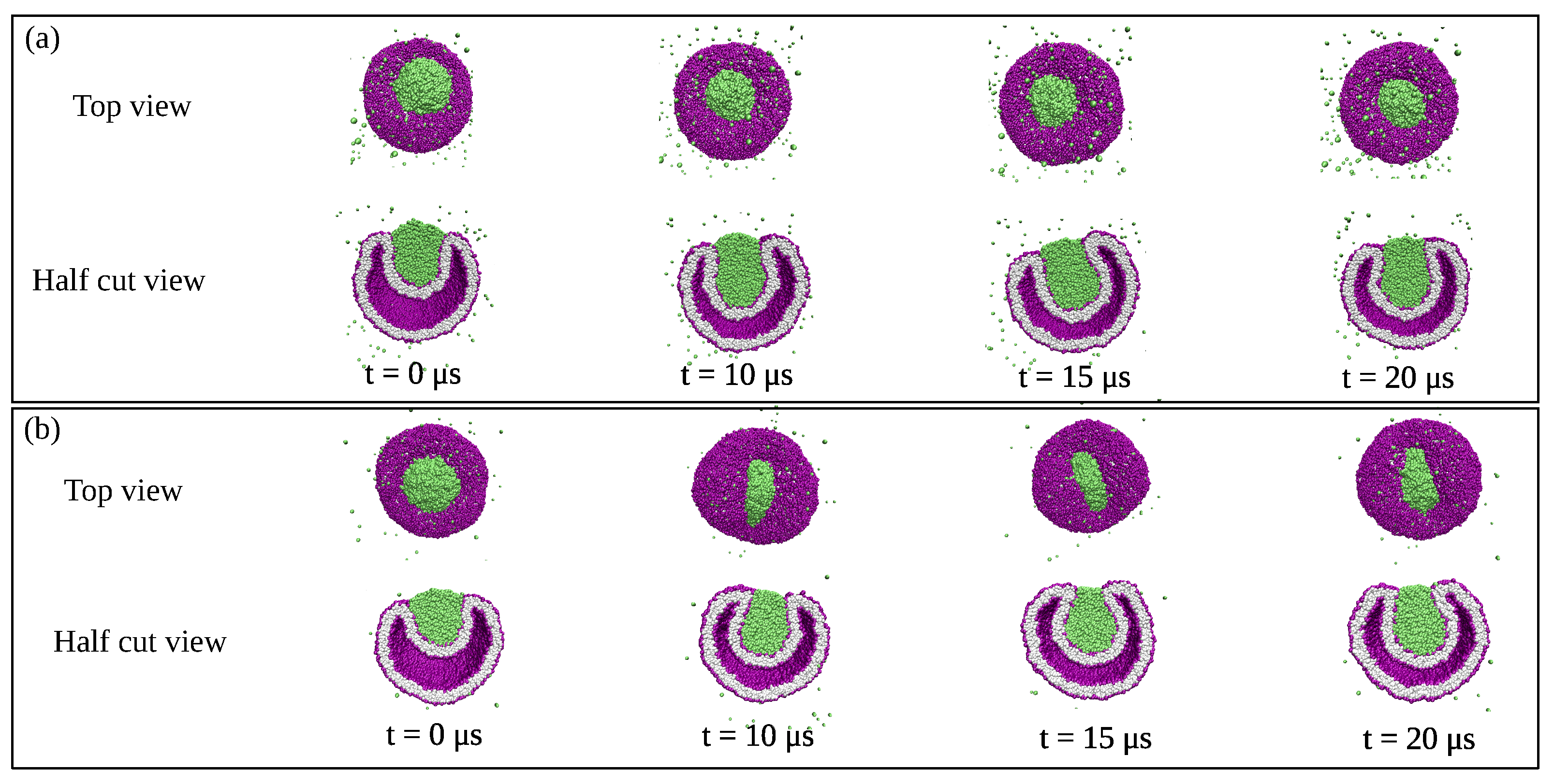 Membranes 13 00223 g024 Membranes 13 00223 g024