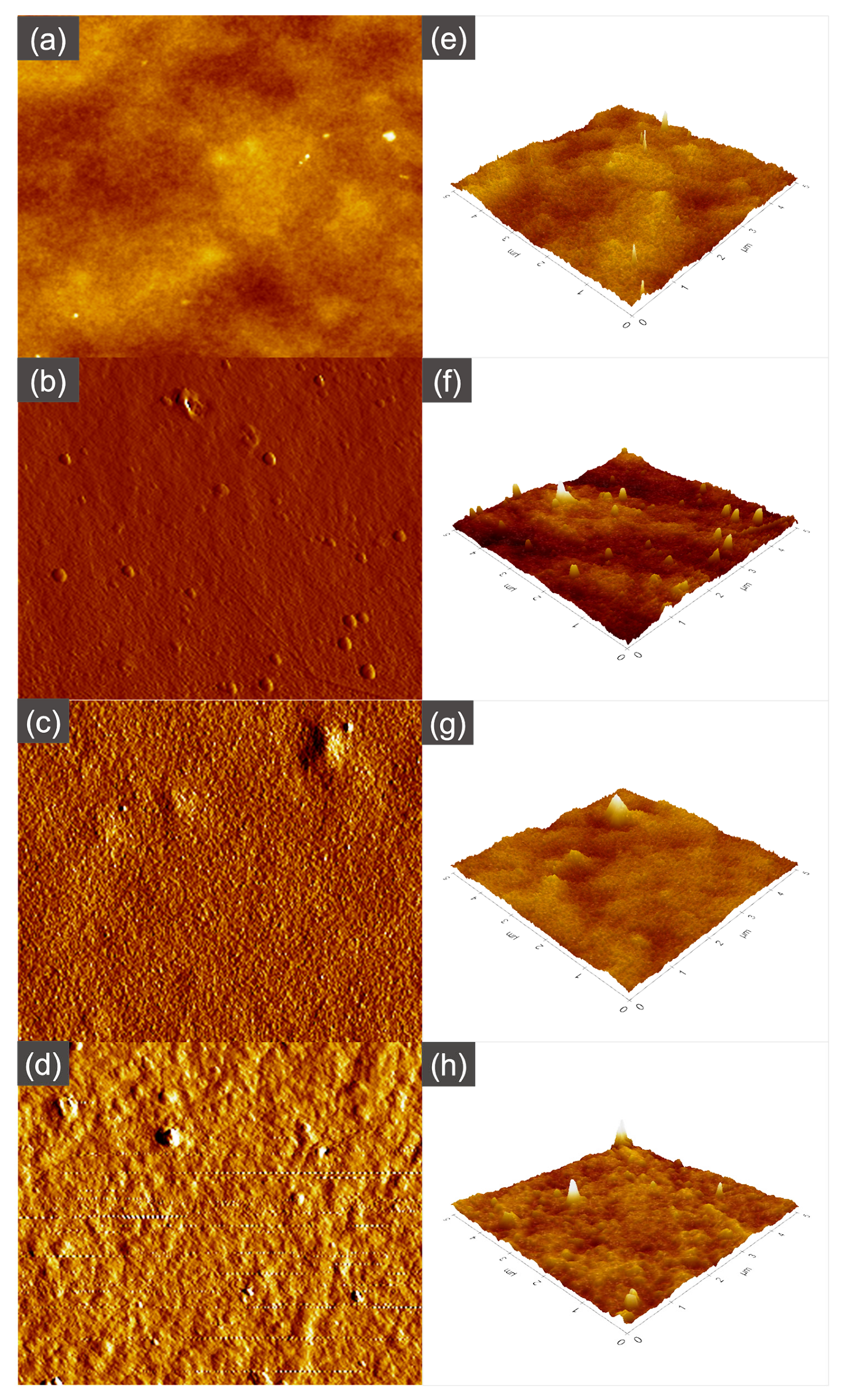 Membranes 13 00232 g008 Membranes 13 00232 g008