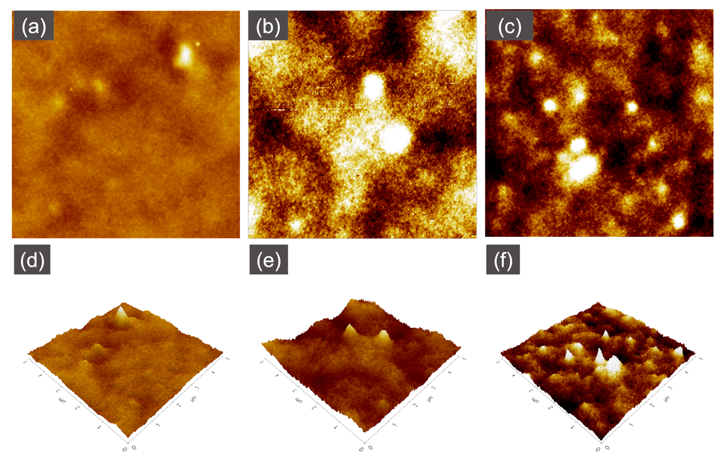 Membranes 13 00232 g009 Membranes 13 00232 g009