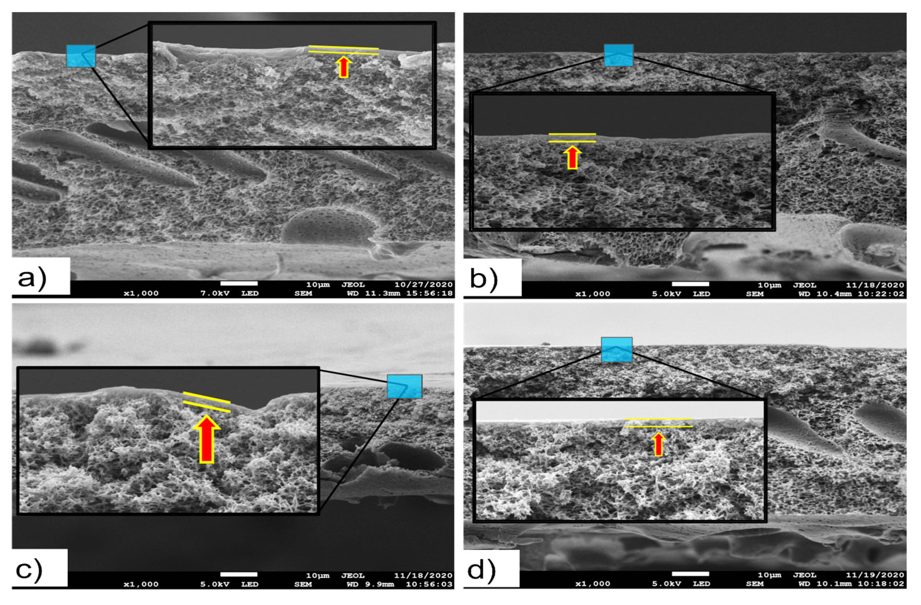 Membranes 13 00232 g010 Membranes 13 00232 g010