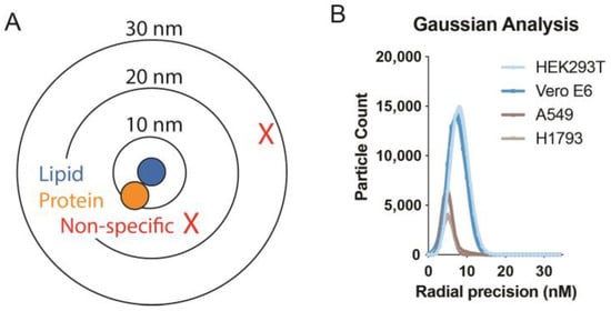 Membranes Free Full Text Cholesterol Regulation Of Membrane Proteins Revealed By Two Color 1856