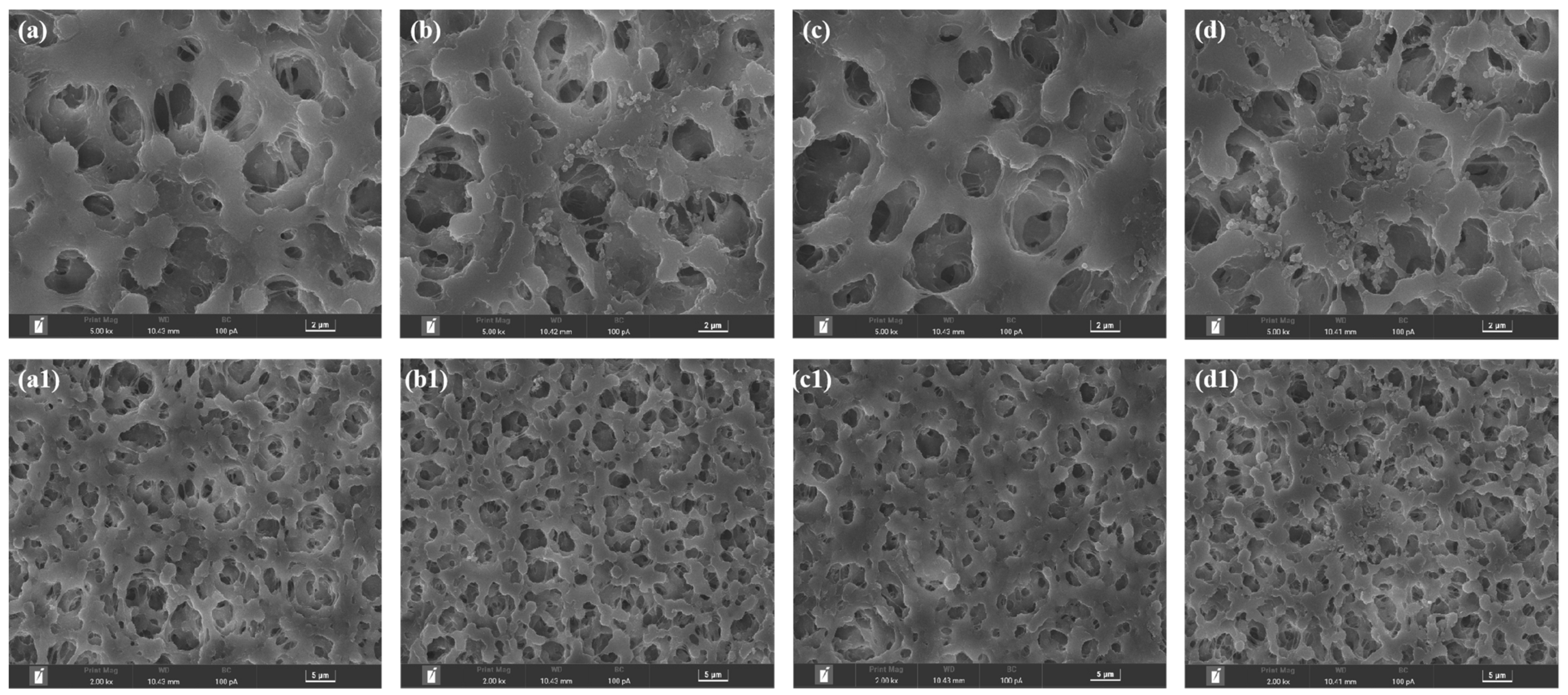 Membranes 13 00255 g002