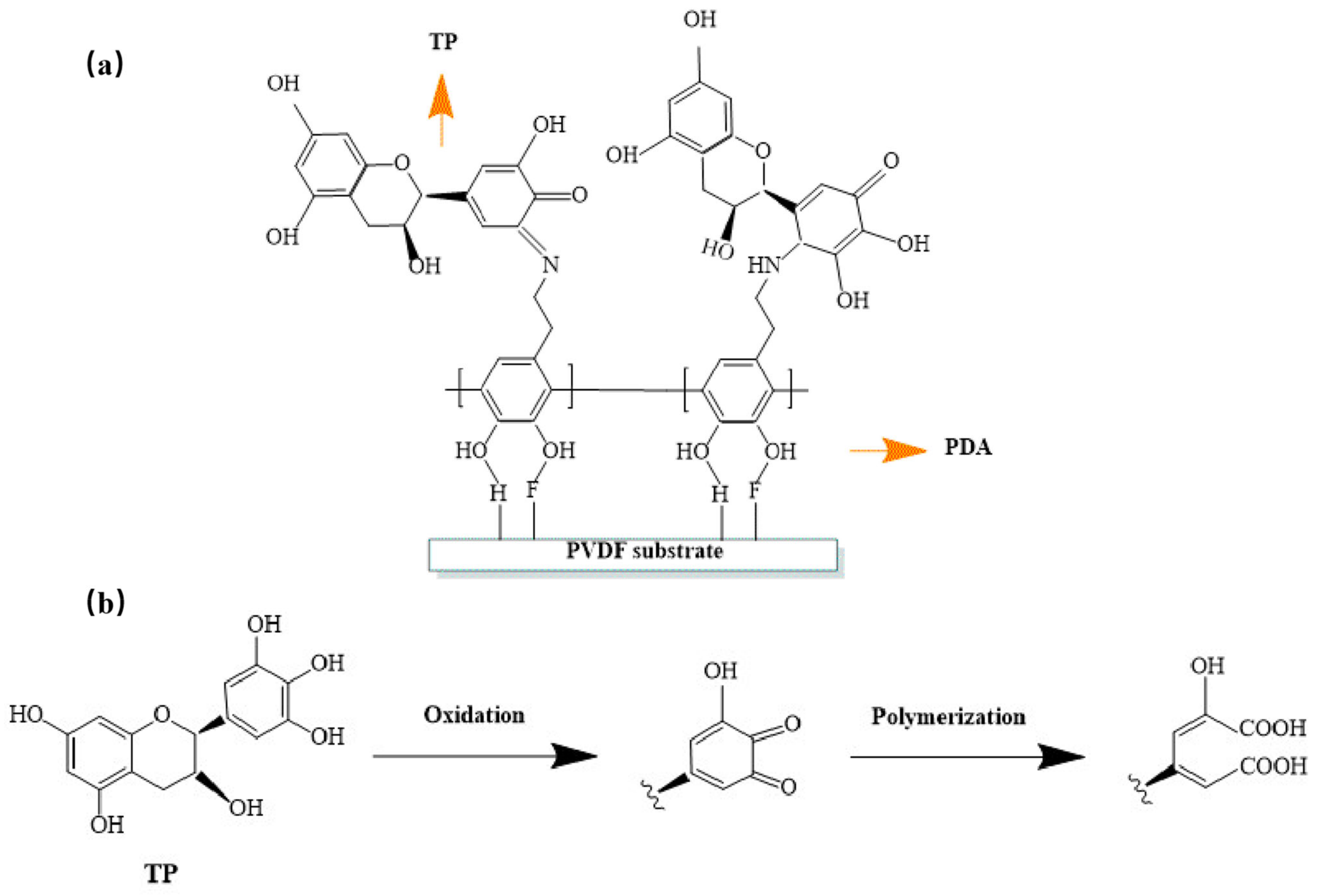 Membranes 13 00255 sch001