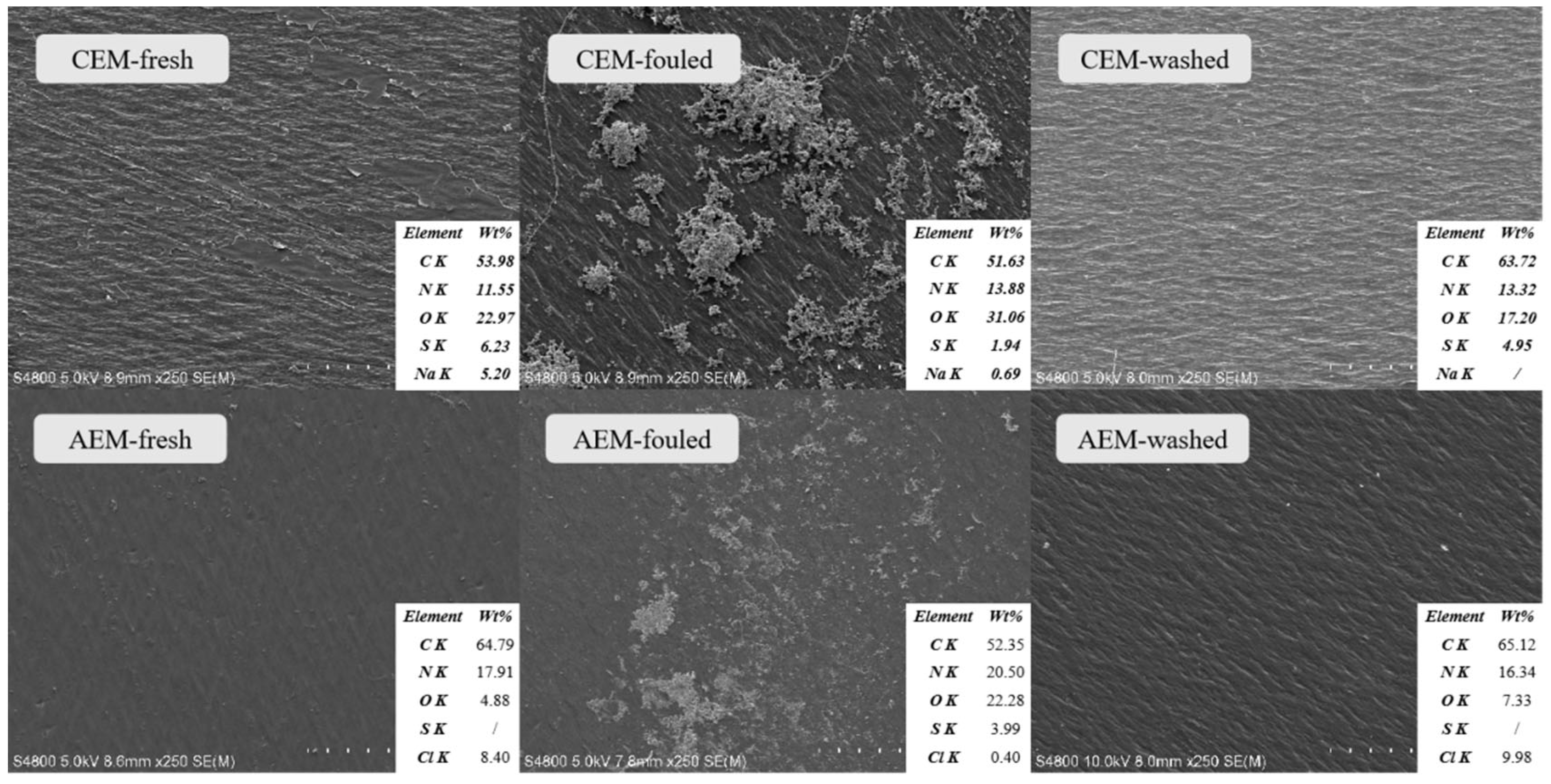 Membranes 13 00256 g005 Membranes 13 00256 g005