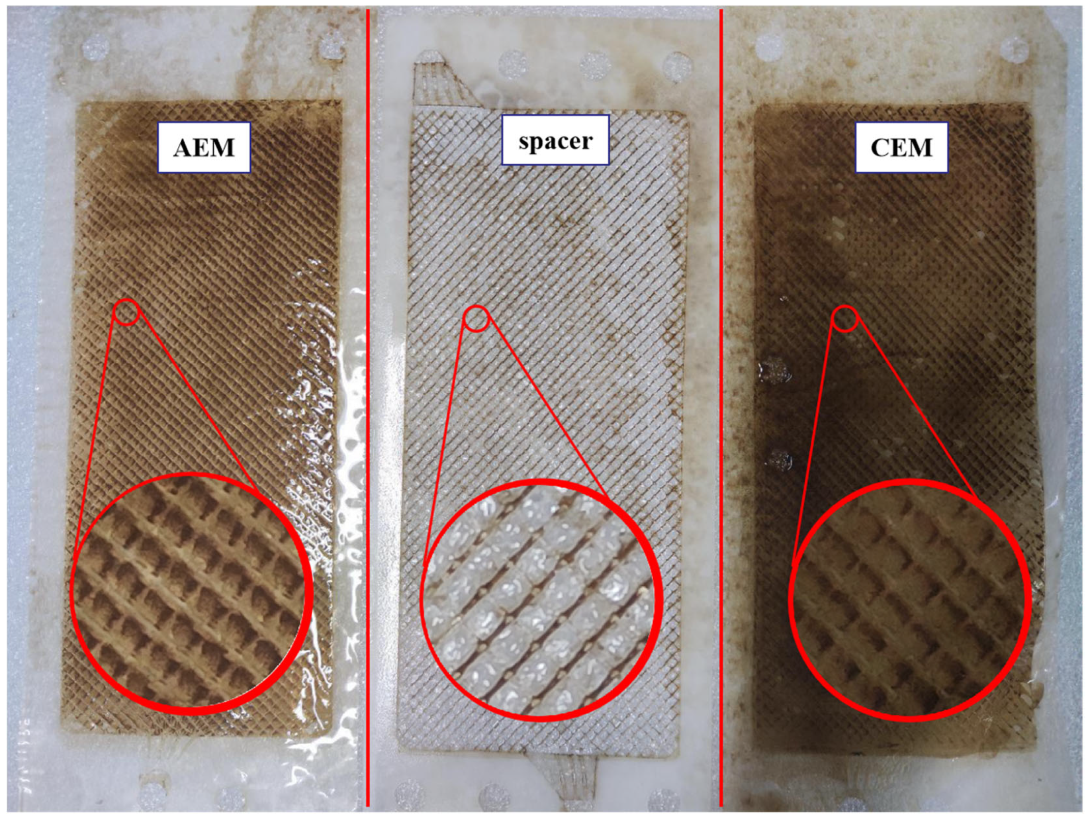 Membranes 13 00256 g009 Membranes 13 00256 g009