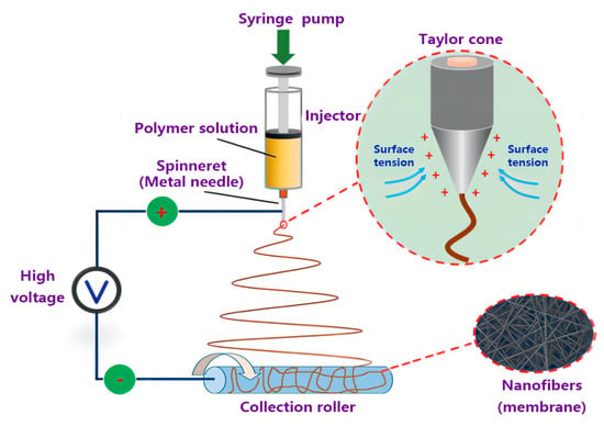 Membranes | Free Full-Text | Fabrication Of Unidirectional Water ...