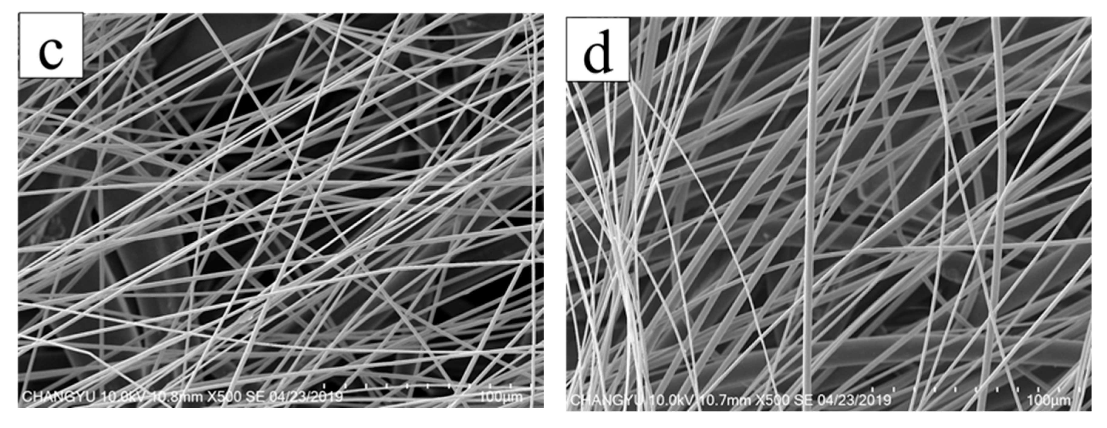 Membranes 13 00257 g006b Membranes 13 00257 g006b