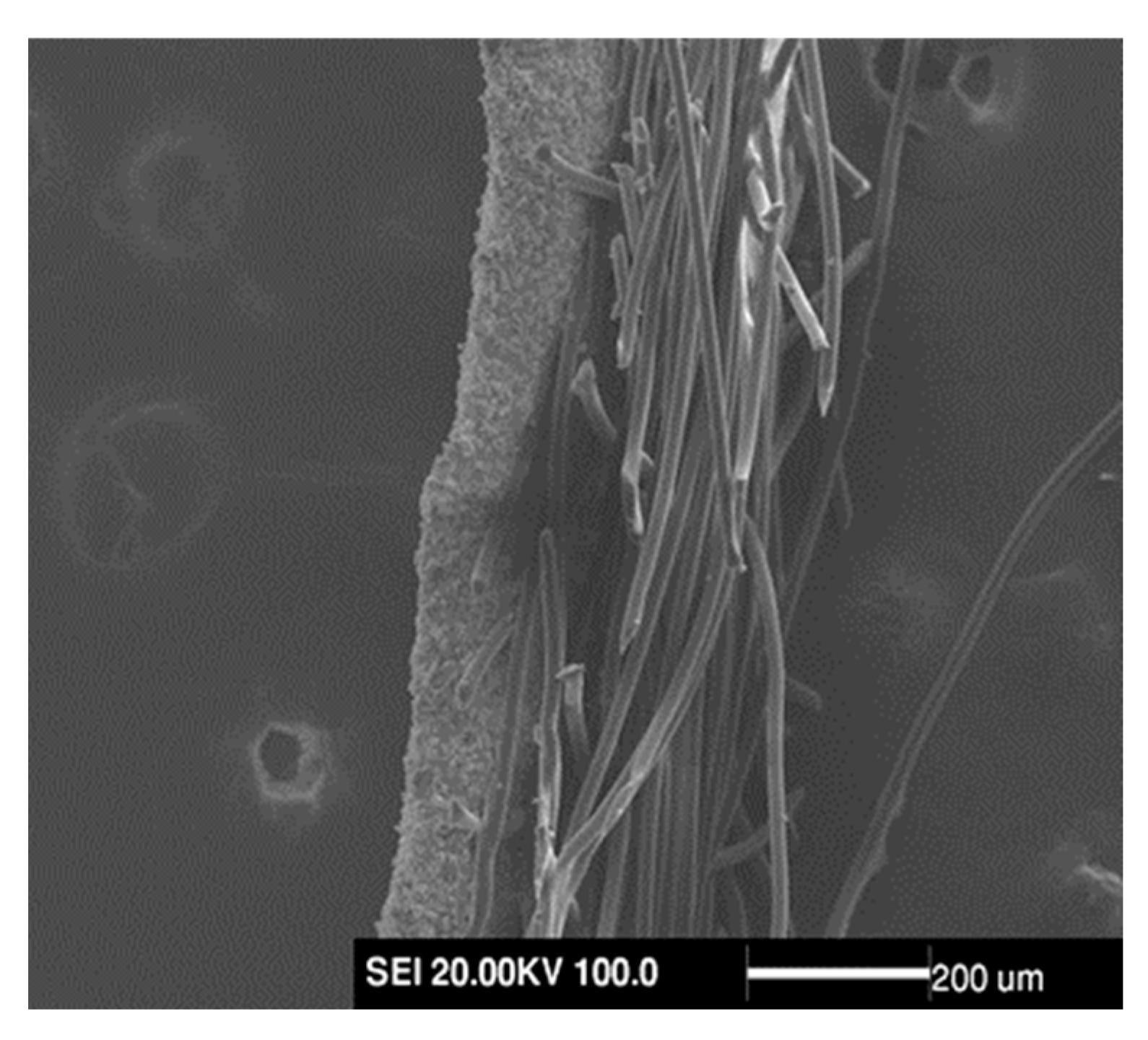 Membranes 13 00257 g010 Membranes 13 00257 g010