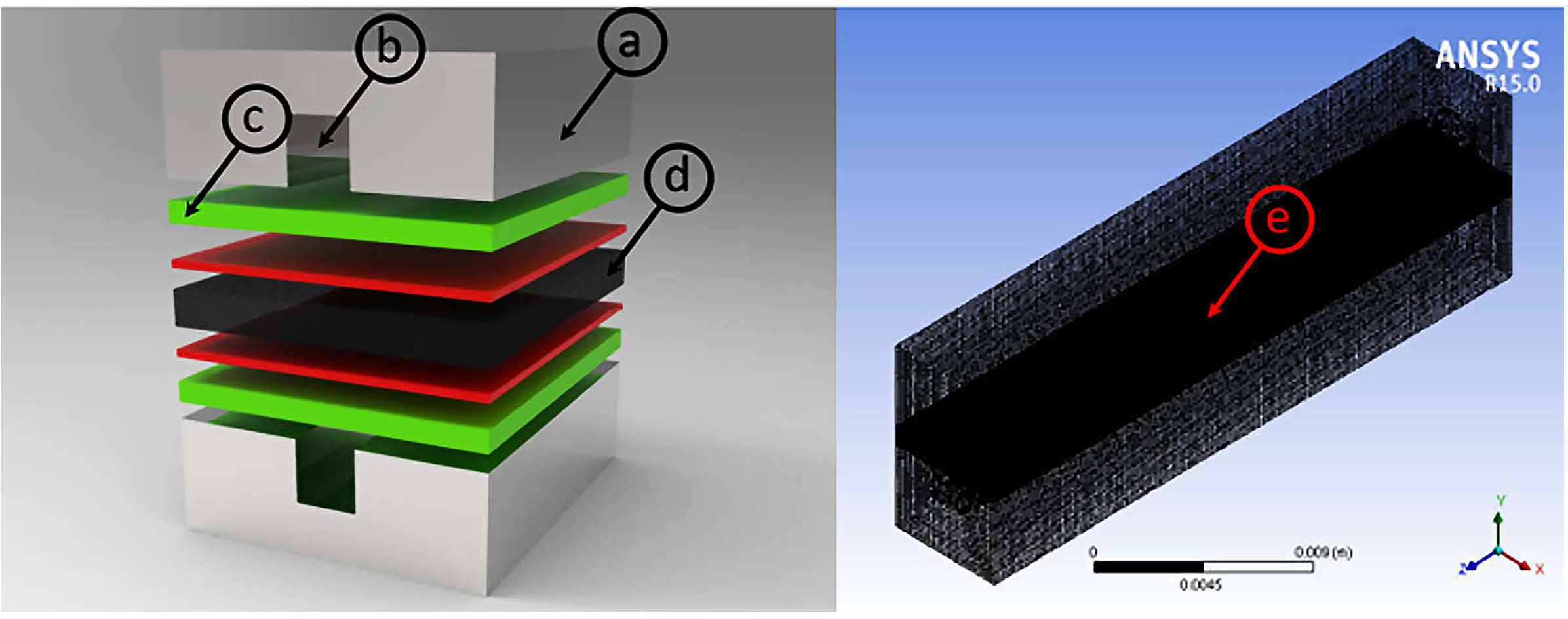 Membranes 13 00259 g001
