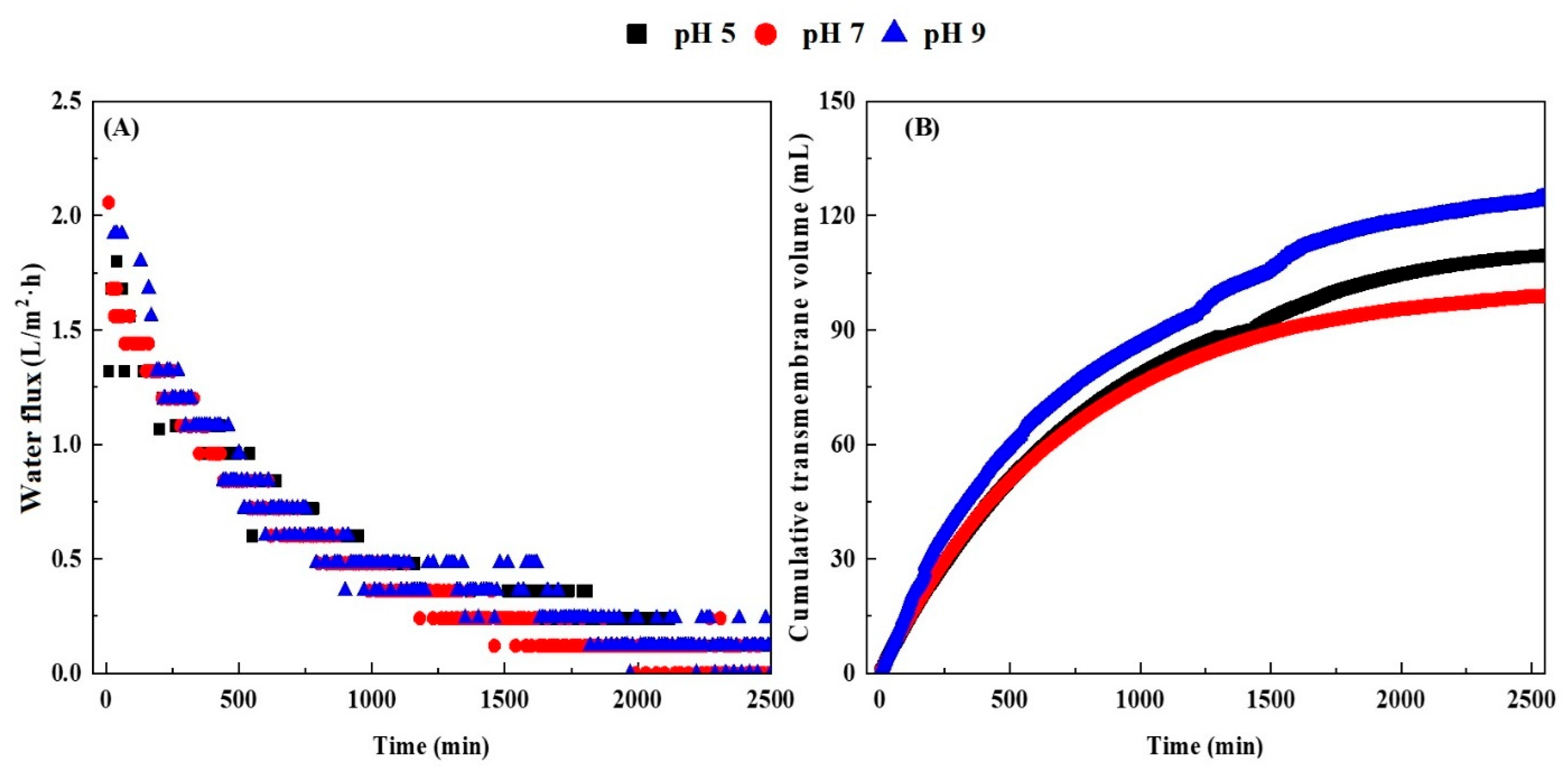 Membranes 13 00288 g002 Membranes 13 00288 g002