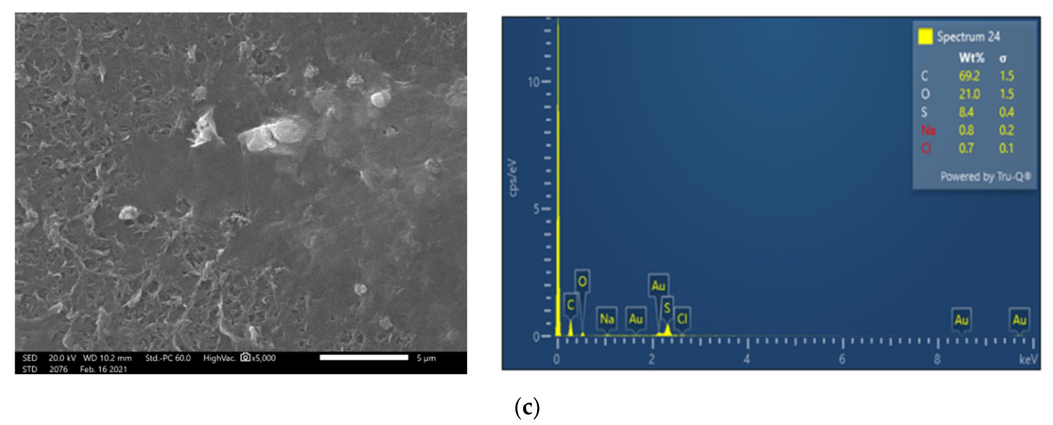 Membranes 13 00297 g005b