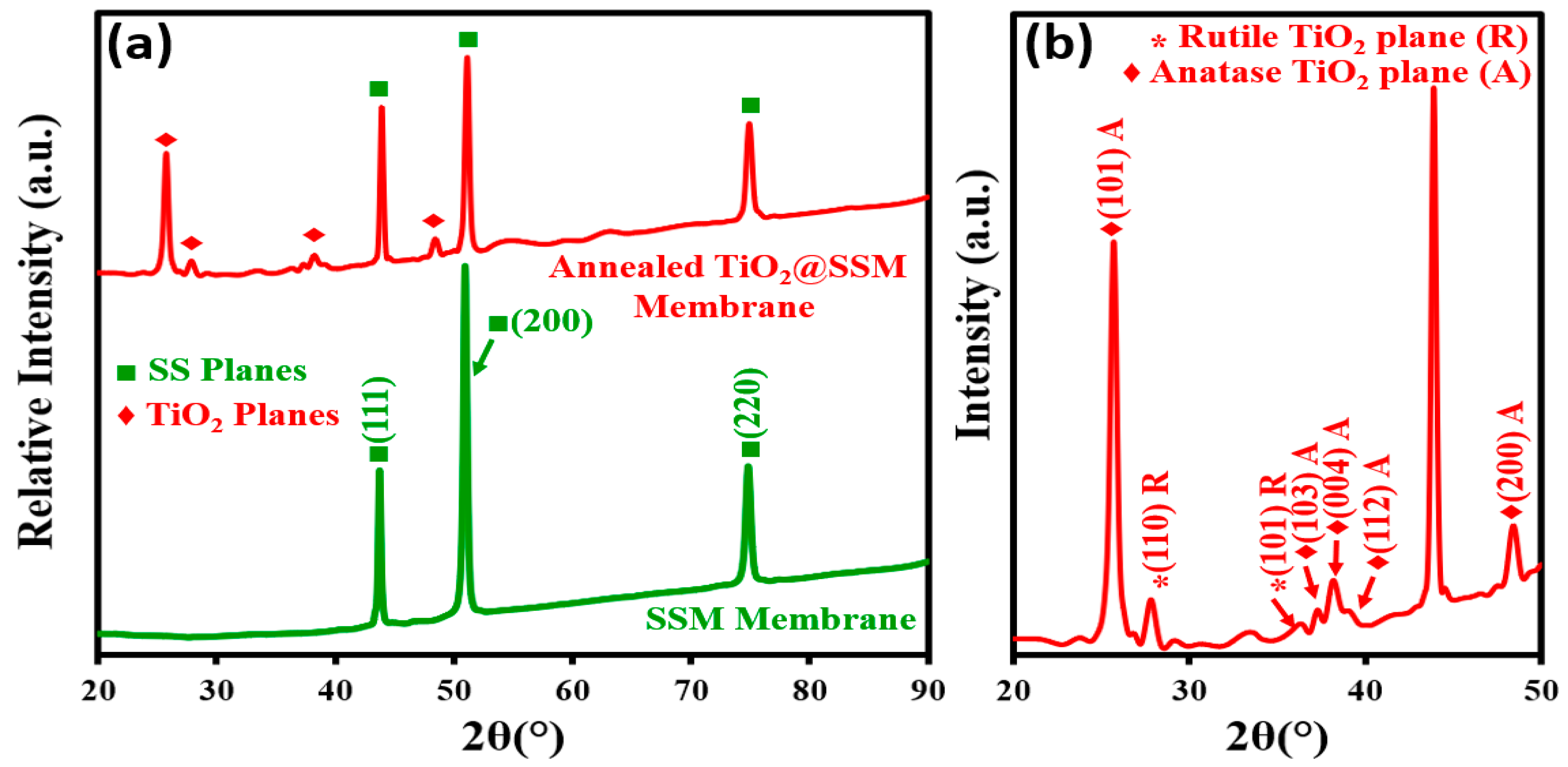 Membranes 13 00302 g002 Membranes 13 00302 g002
