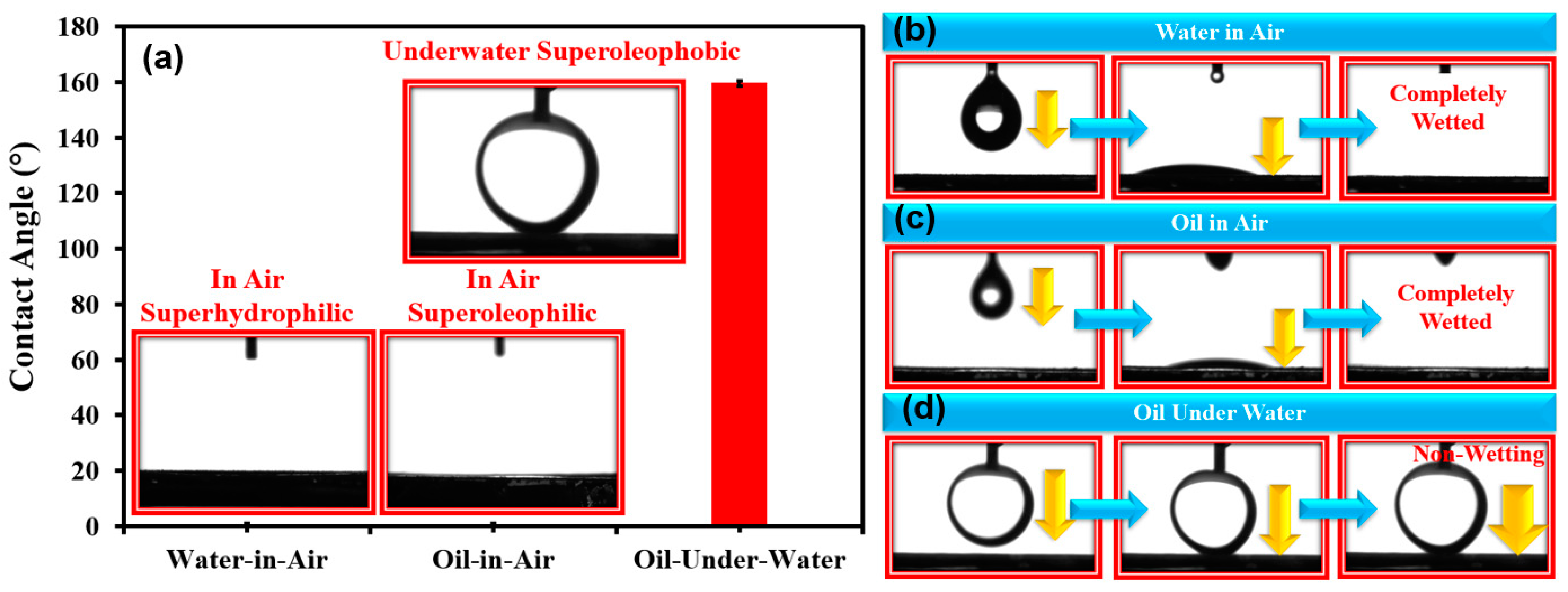Membranes 13 00302 g005 Membranes 13 00302 g005