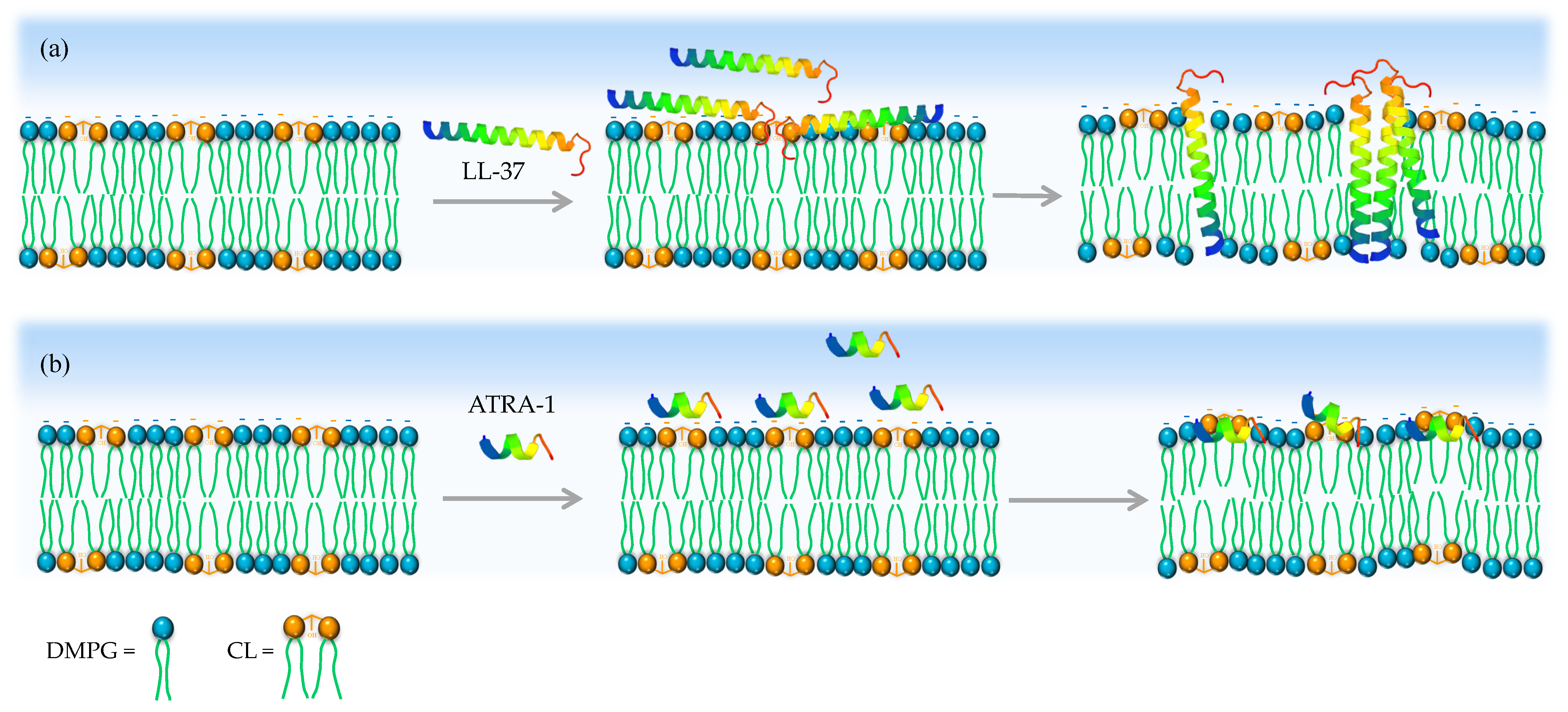 Membranes 13 00304 g007