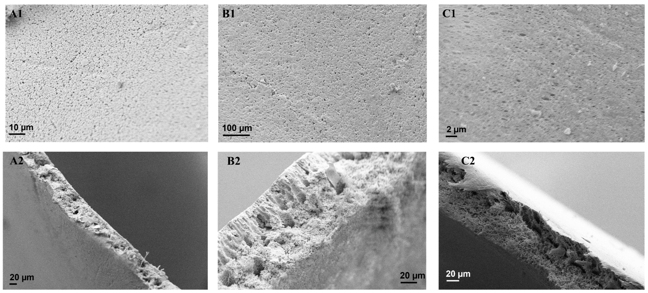 Membranes 13 00317 g002a