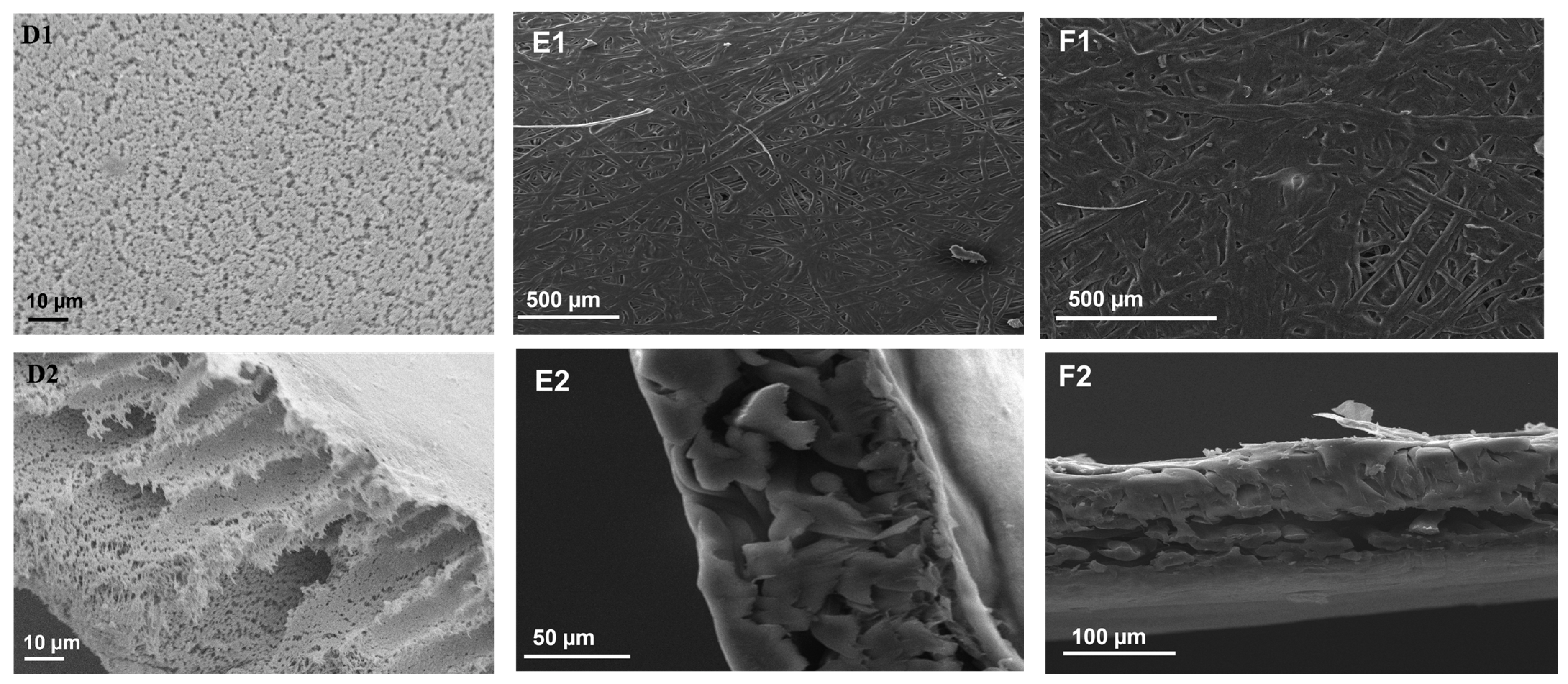 Membranes 13 00317 g002b