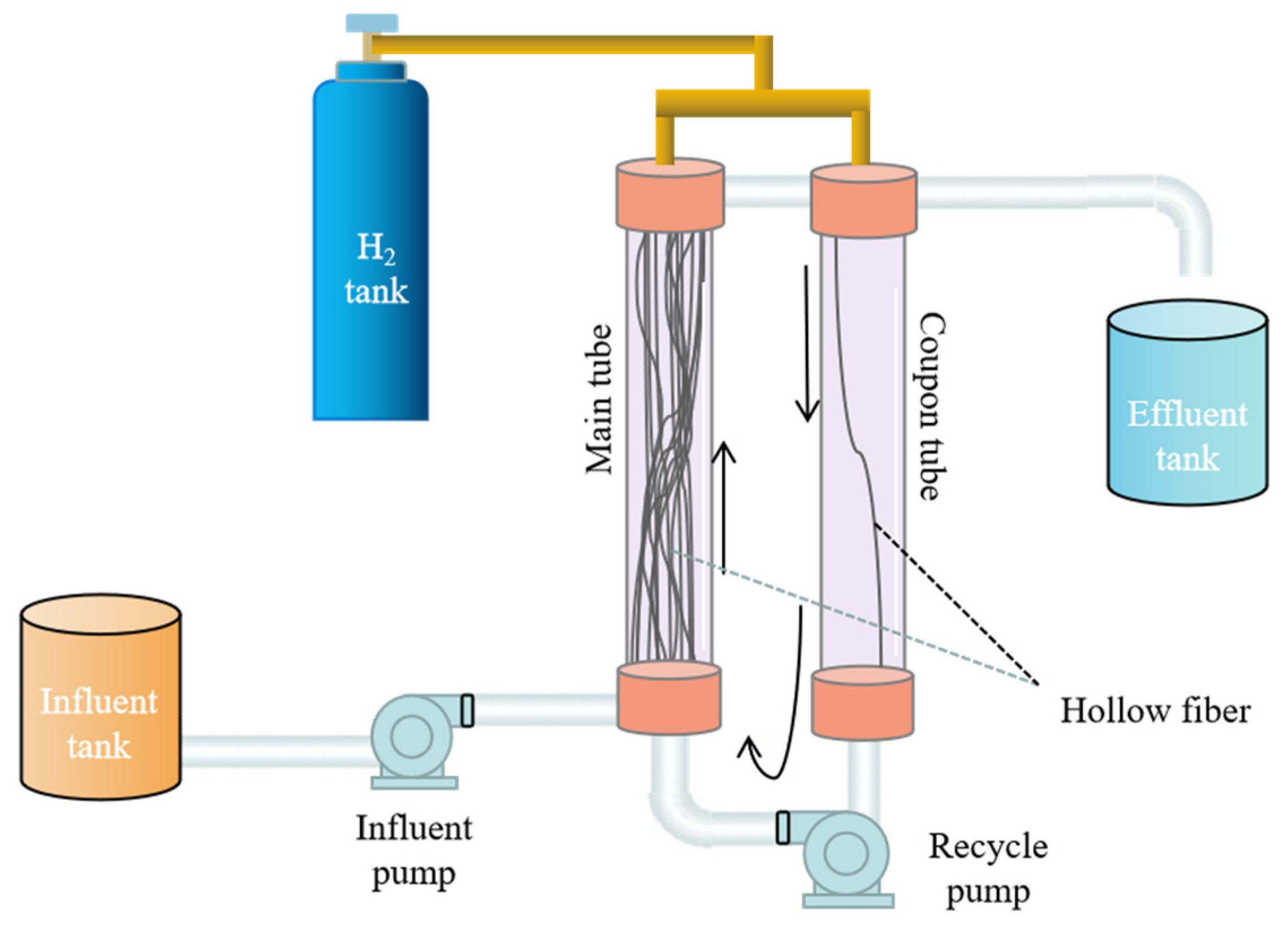 Membranes 13 00324 g001 Membranes 13 00324 g001