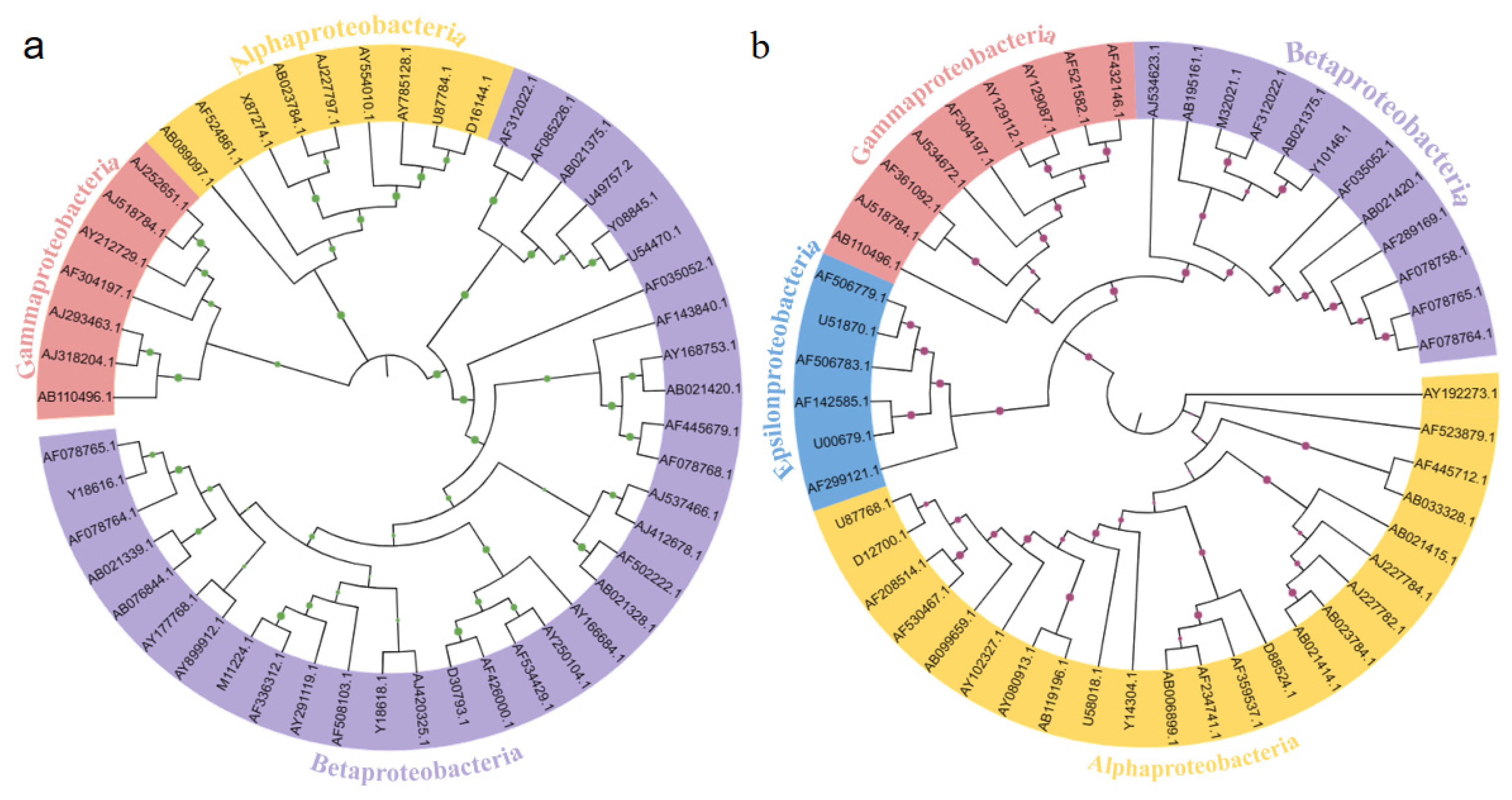 Membranes 13 00324 g006 Membranes 13 00324 g006