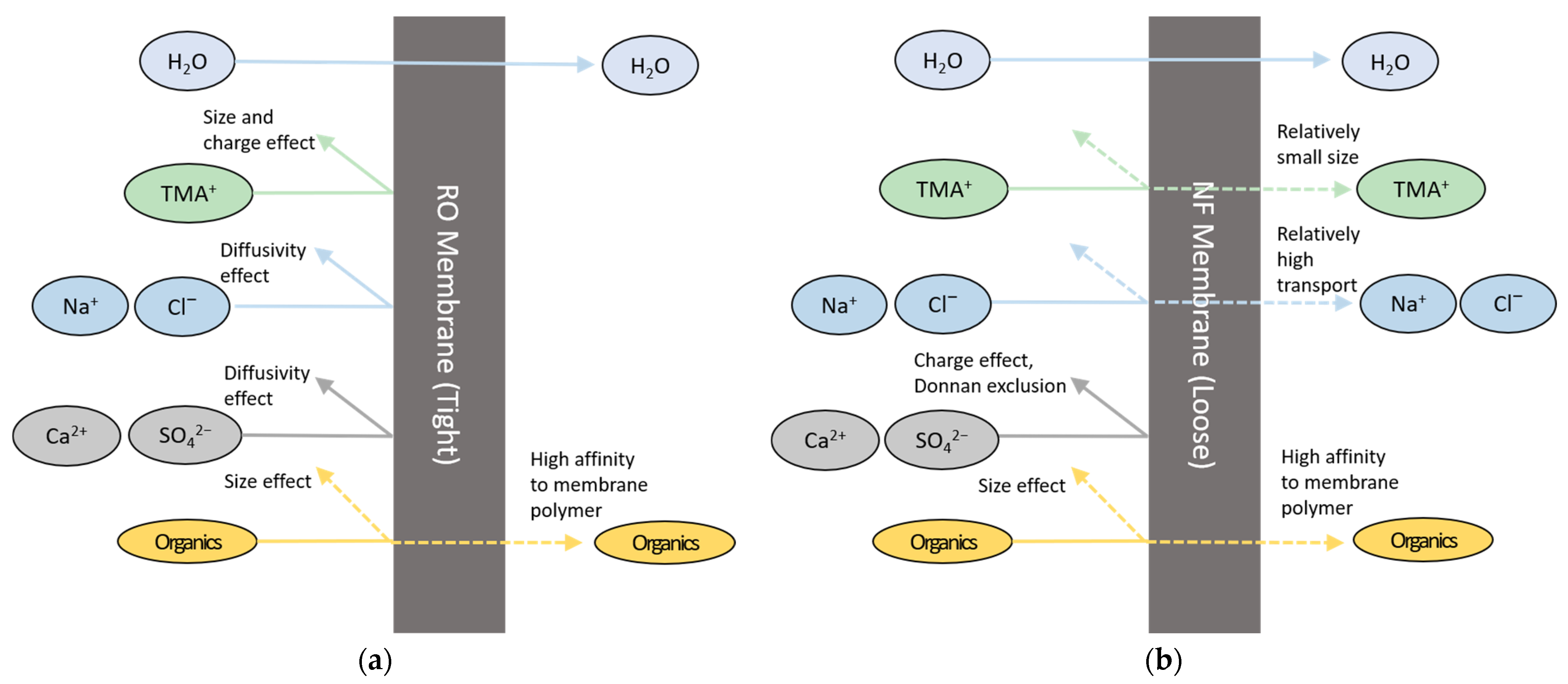 Membranes 13 00336 g004 Membranes 13 00336 g004