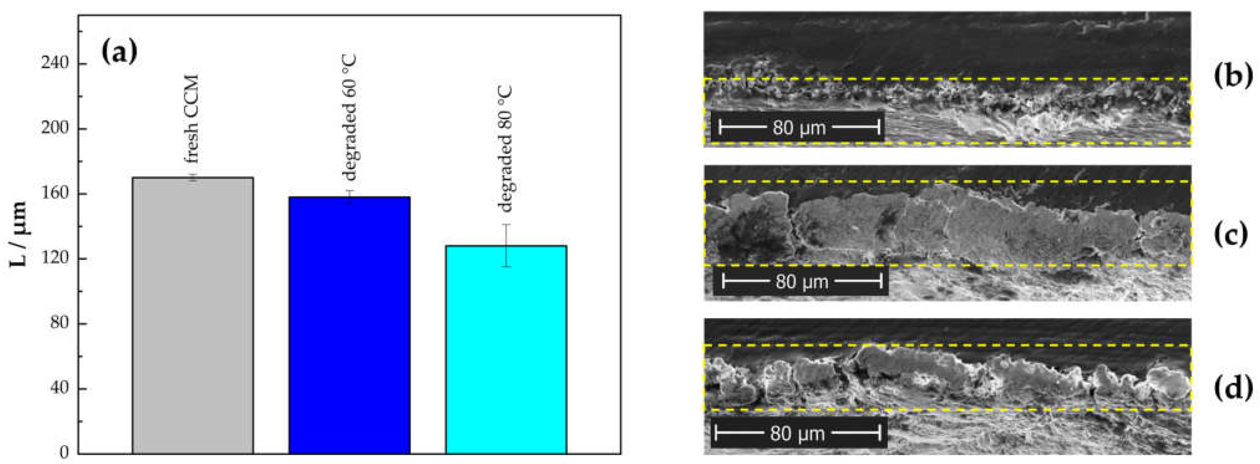Membranes 13 00348 g009 Membranes 13 00348 g009