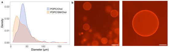 Membranes | Free Full-Text | Electroformation Of Giant Unilamellar ...