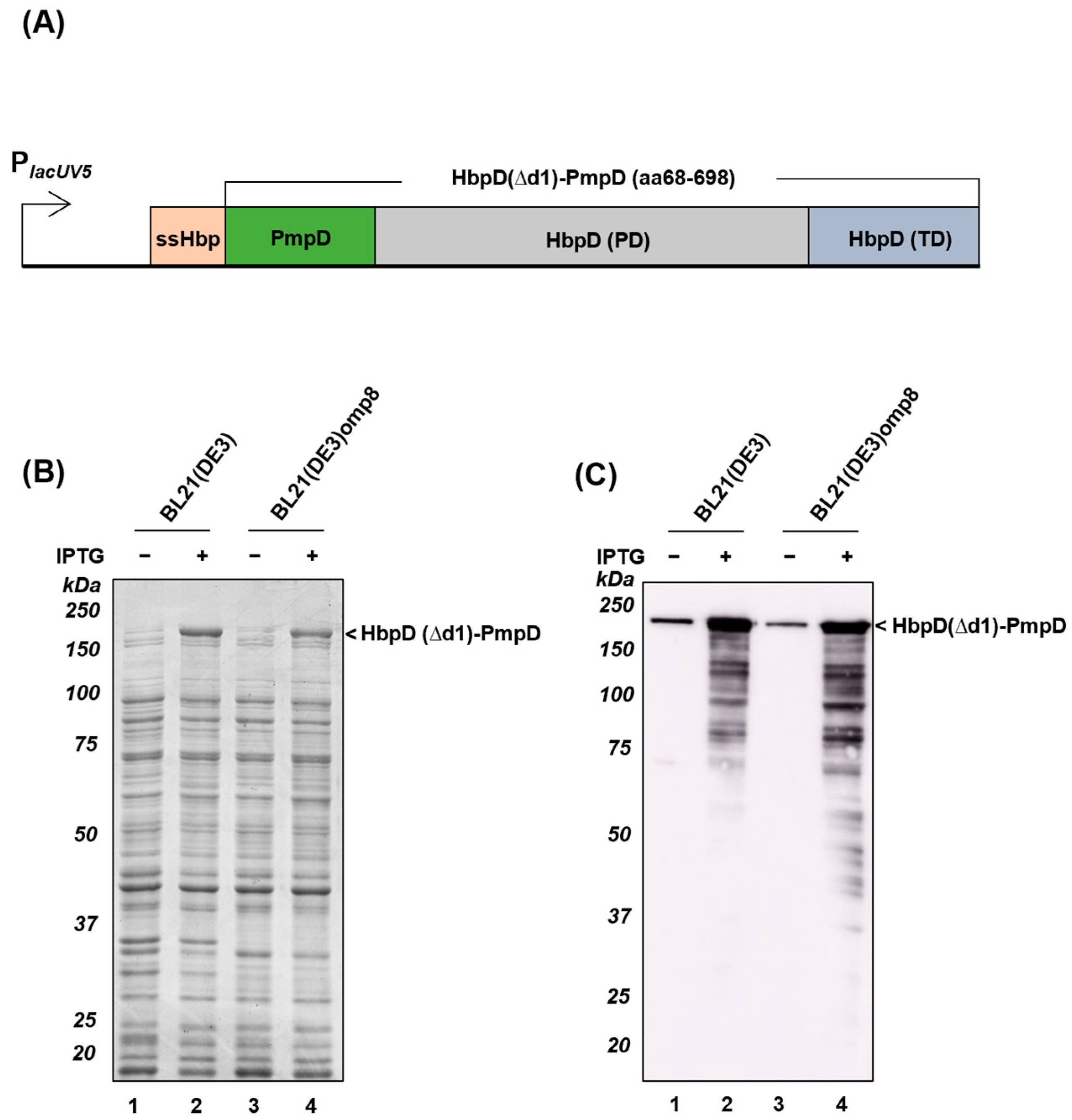 Membranes 13 00366 g002 Membranes 13 00366 g002