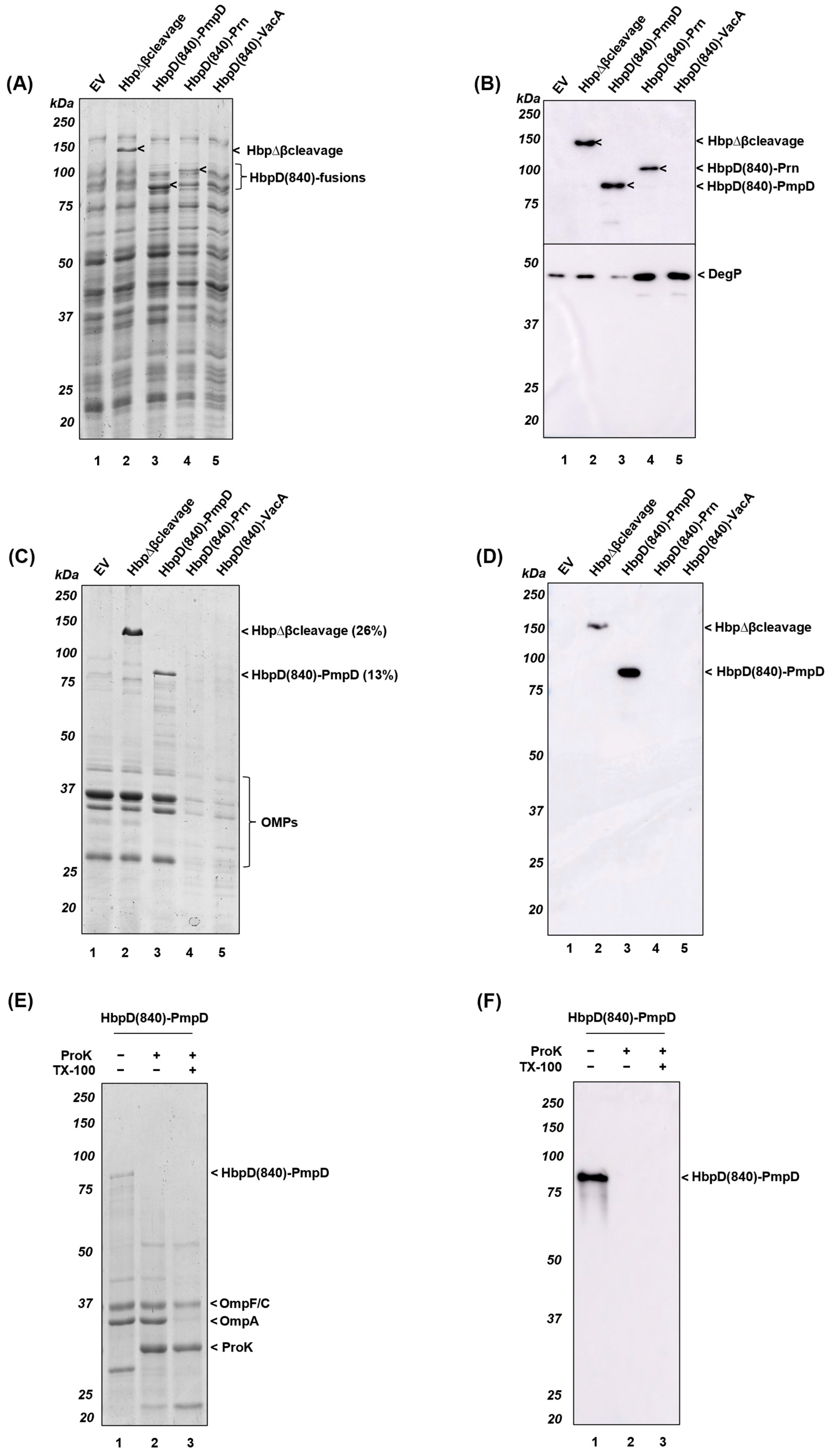Membranes 13 00366 g005 Membranes 13 00366 g005