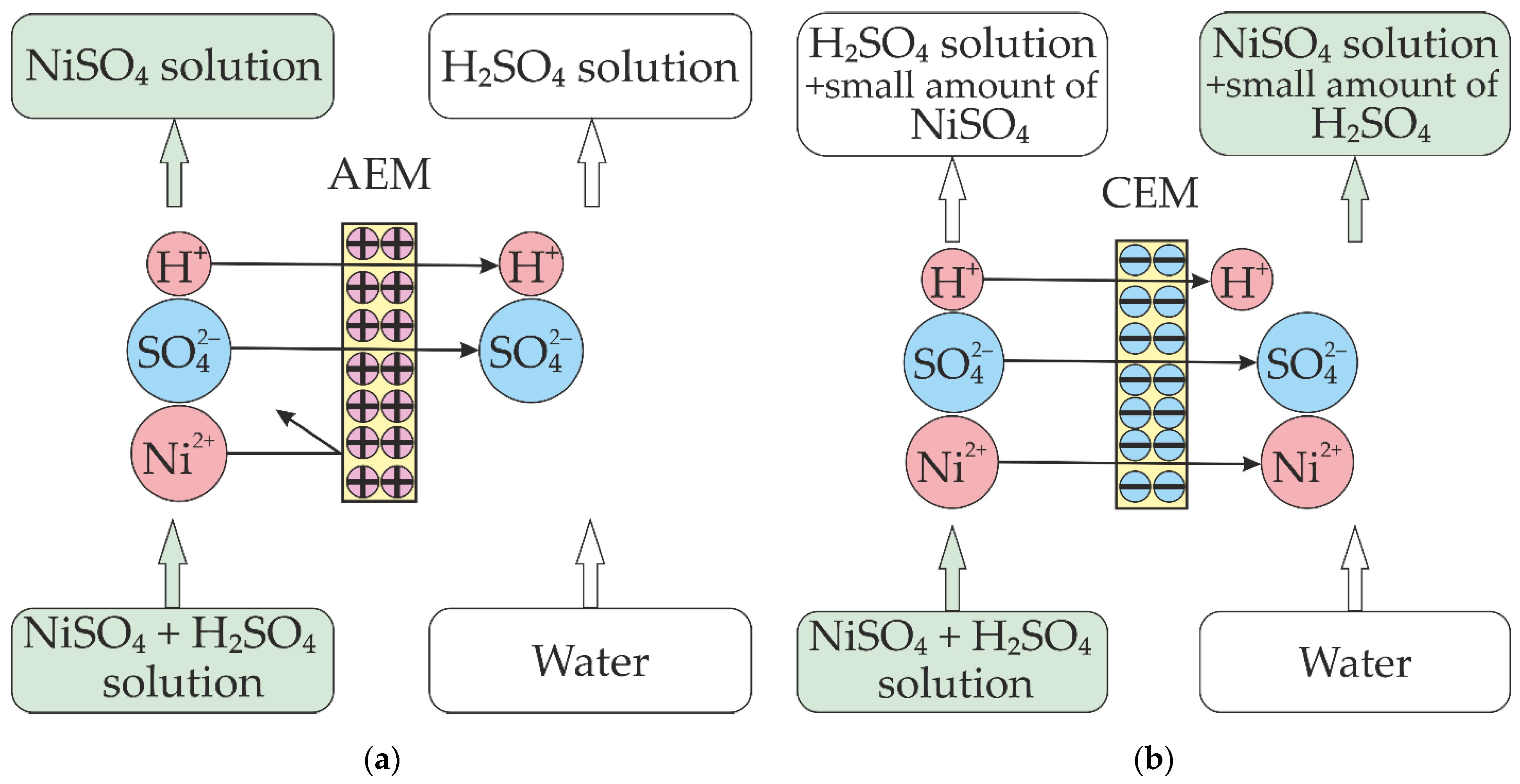 Membranes | Free Full-Text | Comparative Study Of Different Ion ...