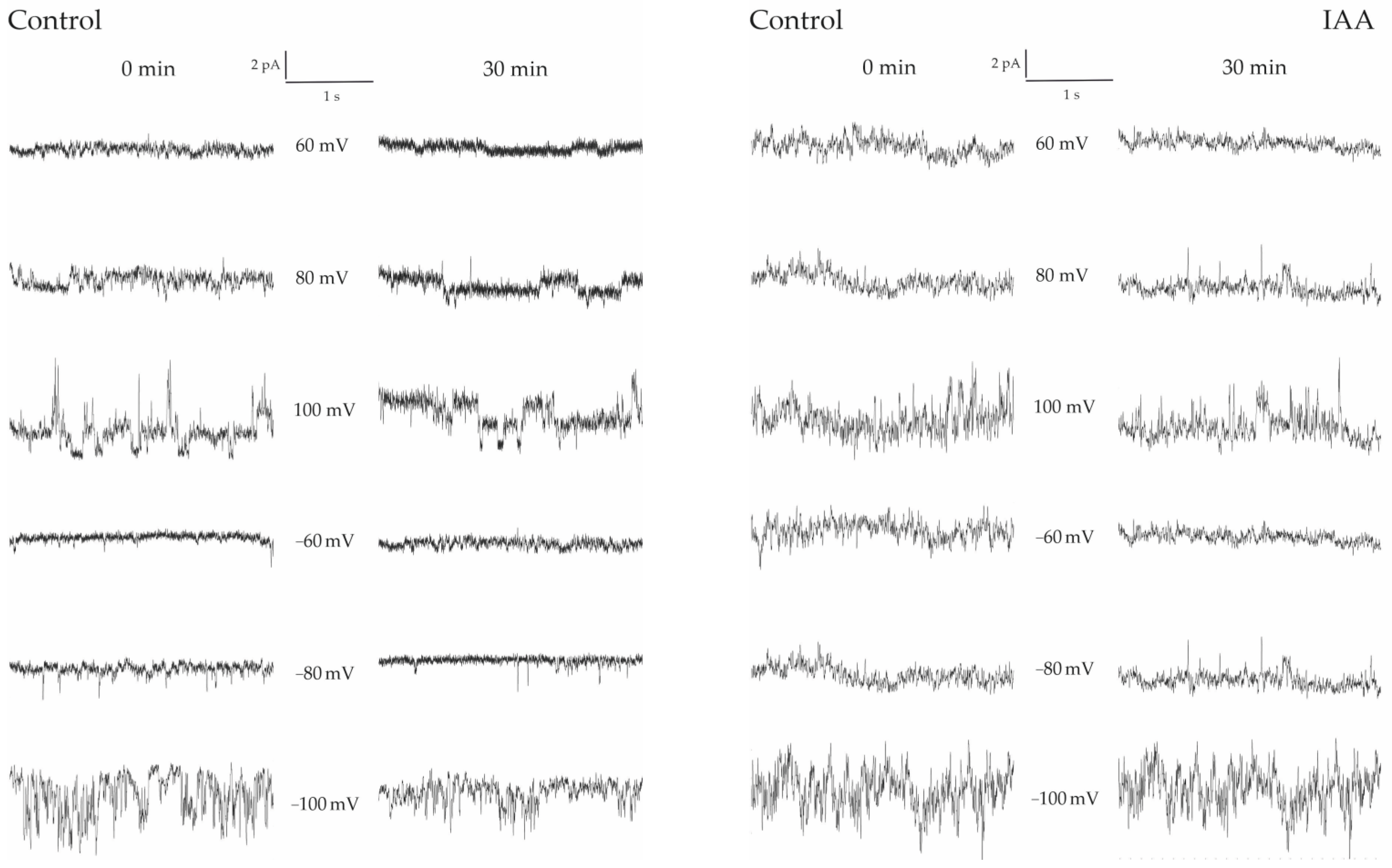 Membranes 13 00406 g004 Membranes 13 00406 g004