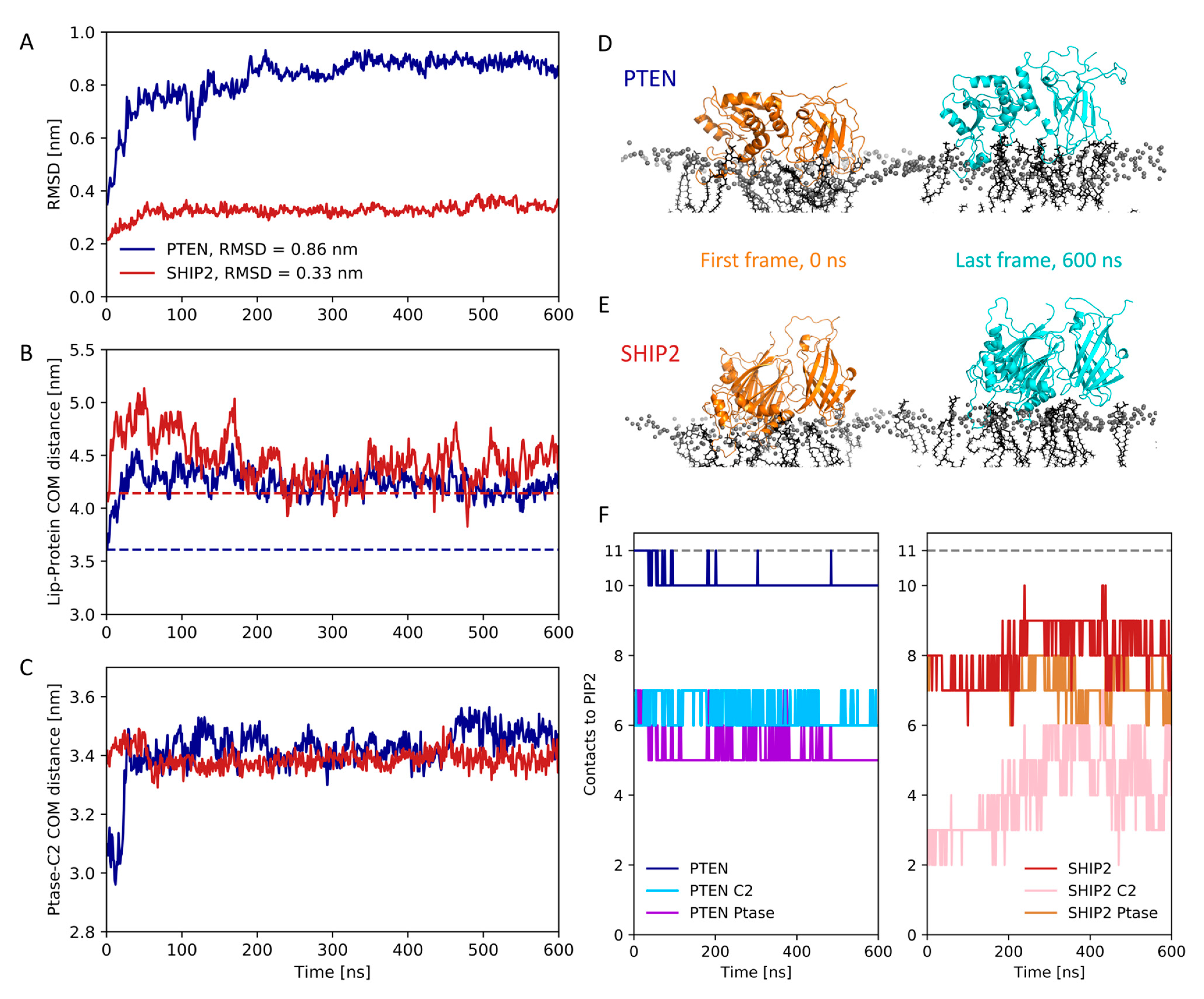 Membranes 13 00408 g005 Membranes 13 00408 g005