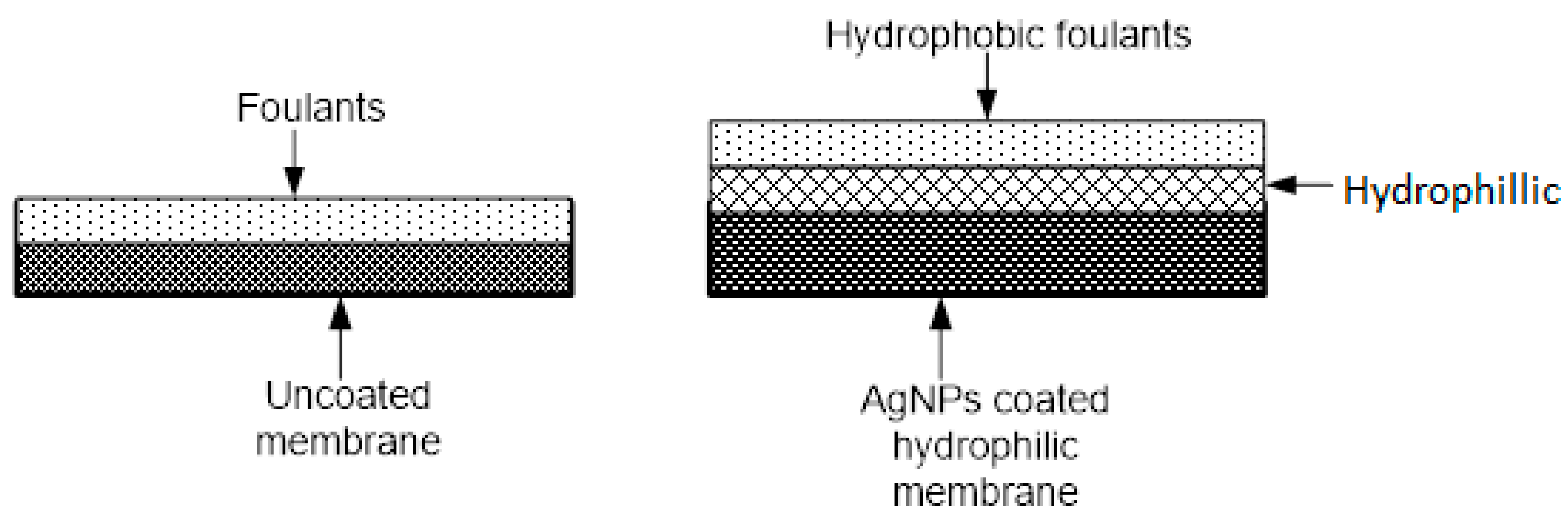 Membranes 13 00432 g004 Membranes 13 00432 g004