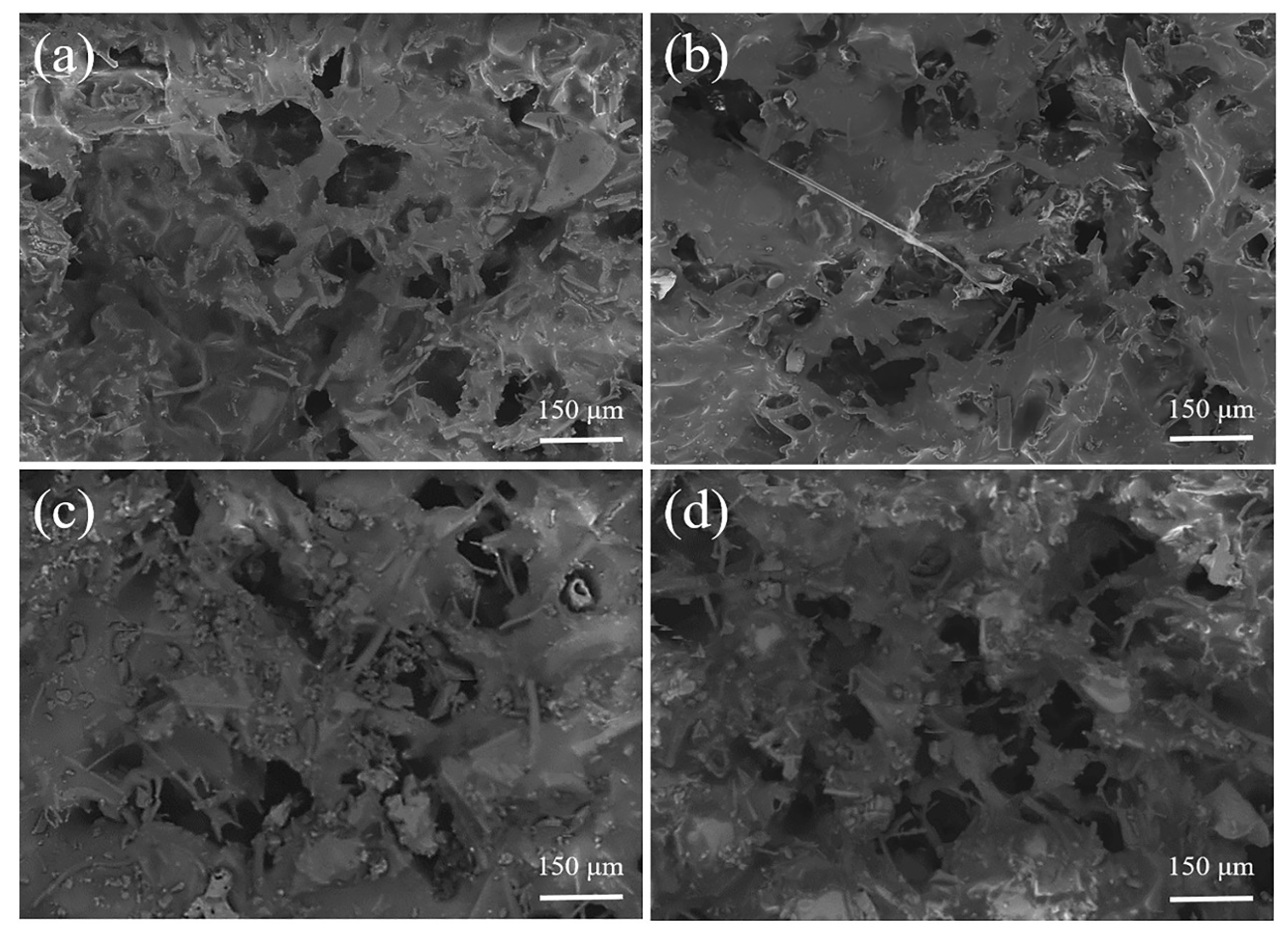 Membranes 13 00443 g007 Membranes 13 00443 g007