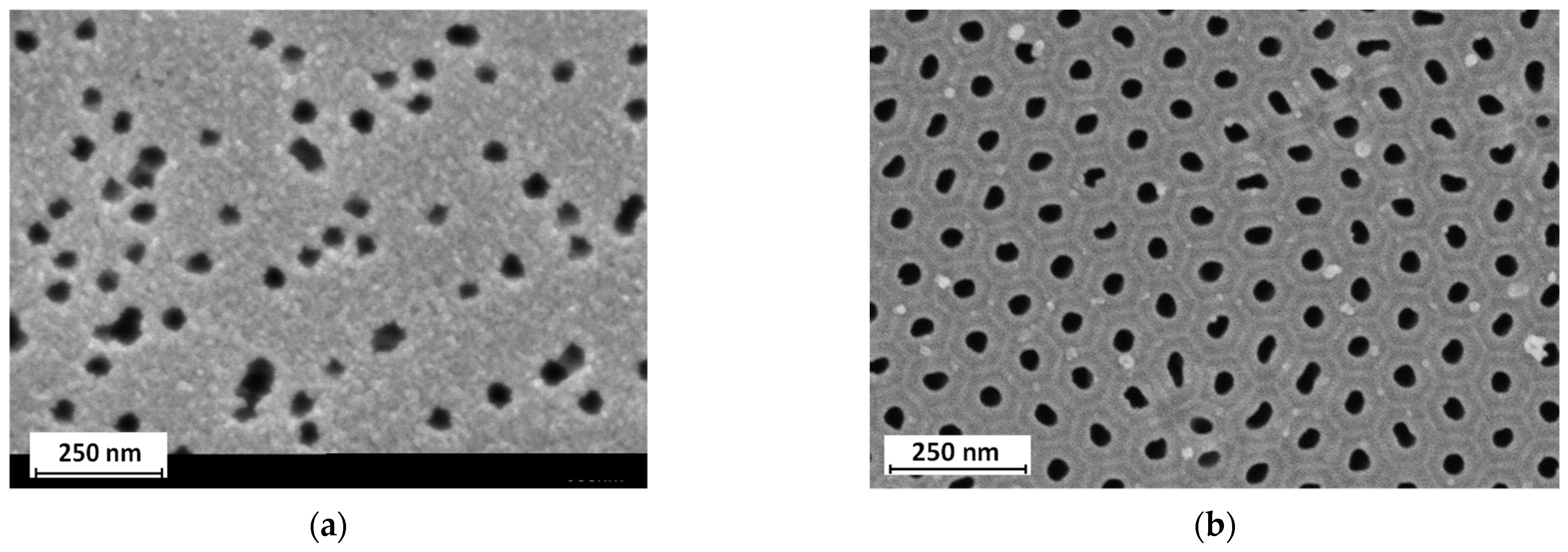 Membranes 13 00455 g002 Membranes 13 00455 g002