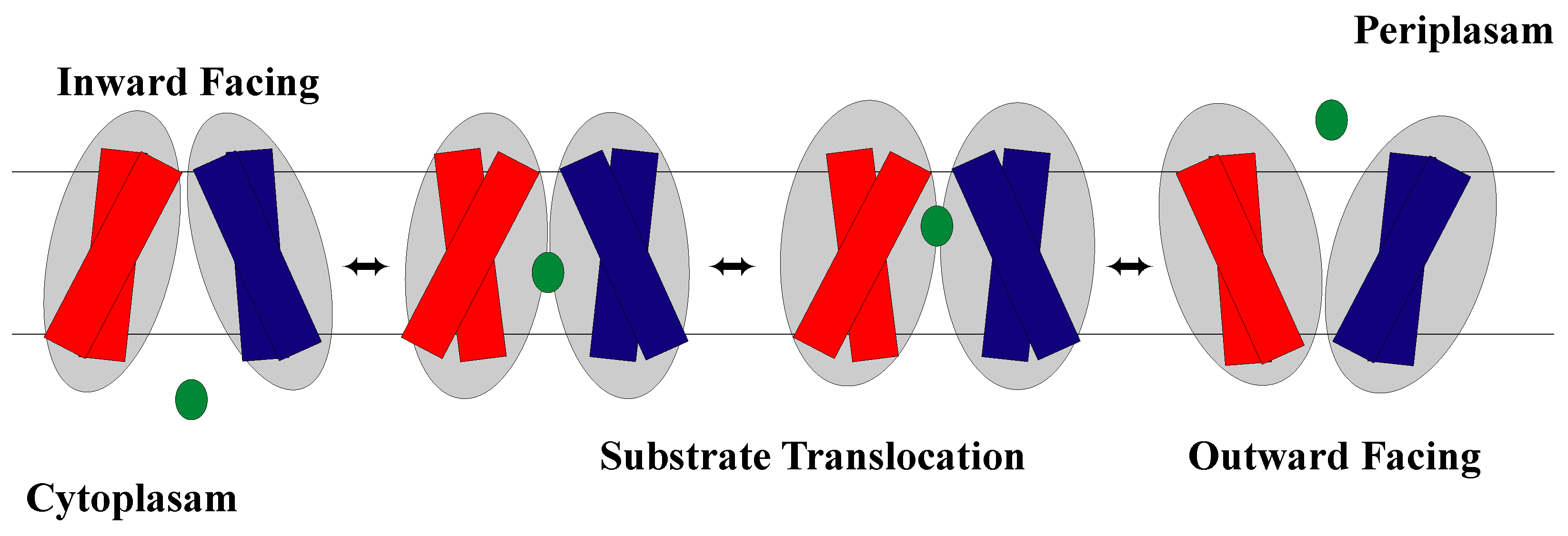 Membranes 13 00462 g003
